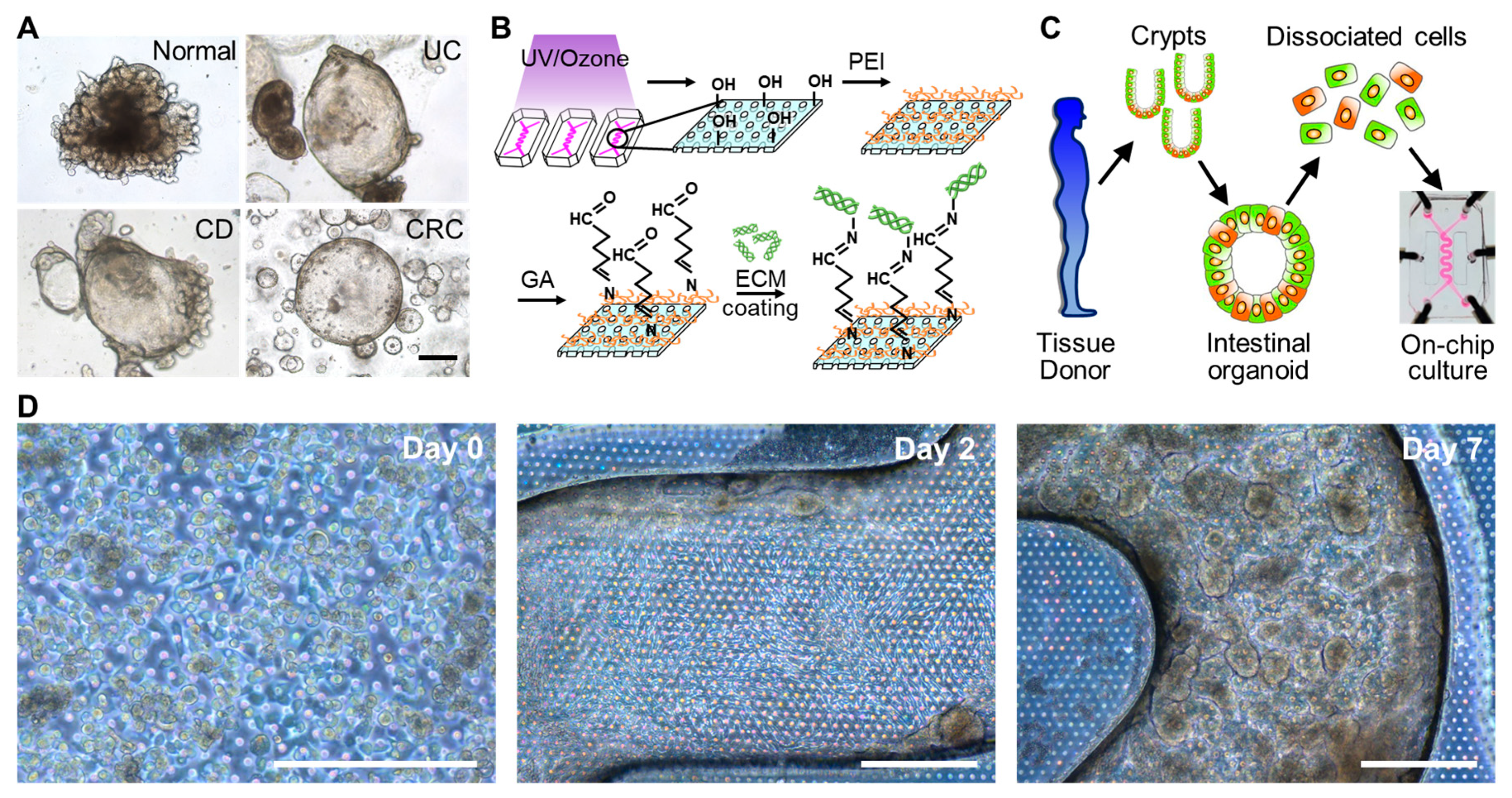 Micromachines 11 00663 g003