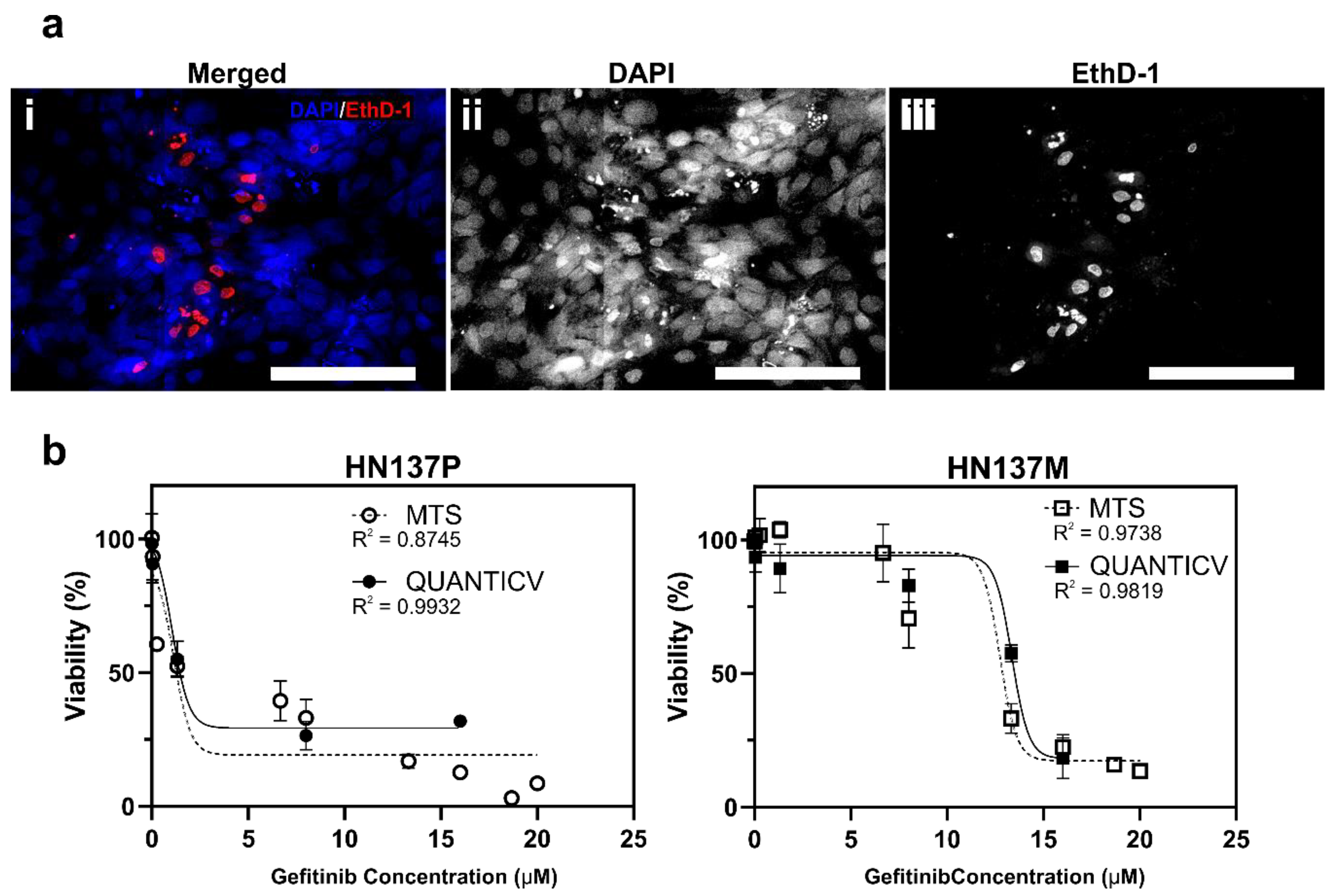 Micromachines 11 00669 g002