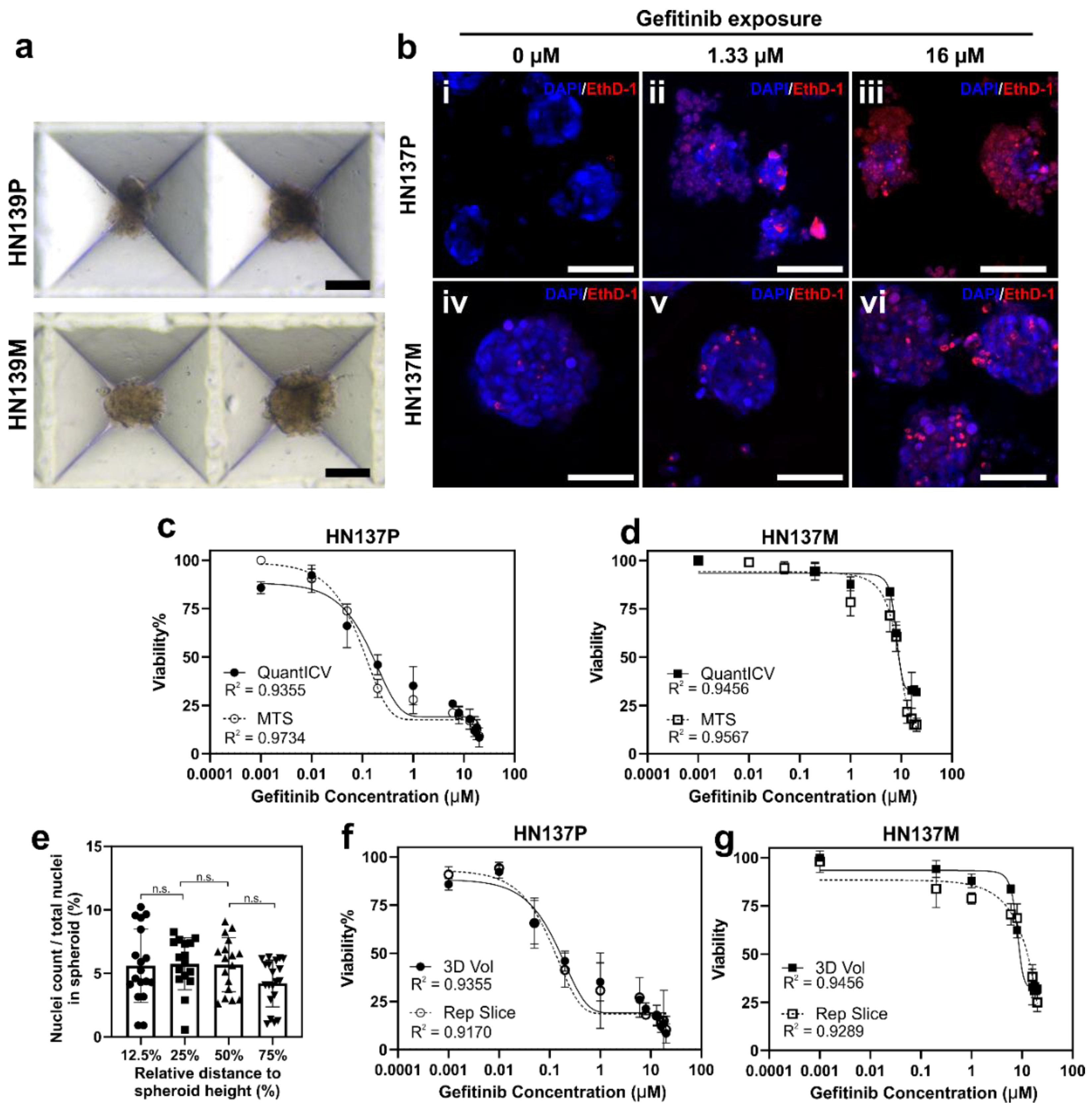Micromachines 11 00669 g003