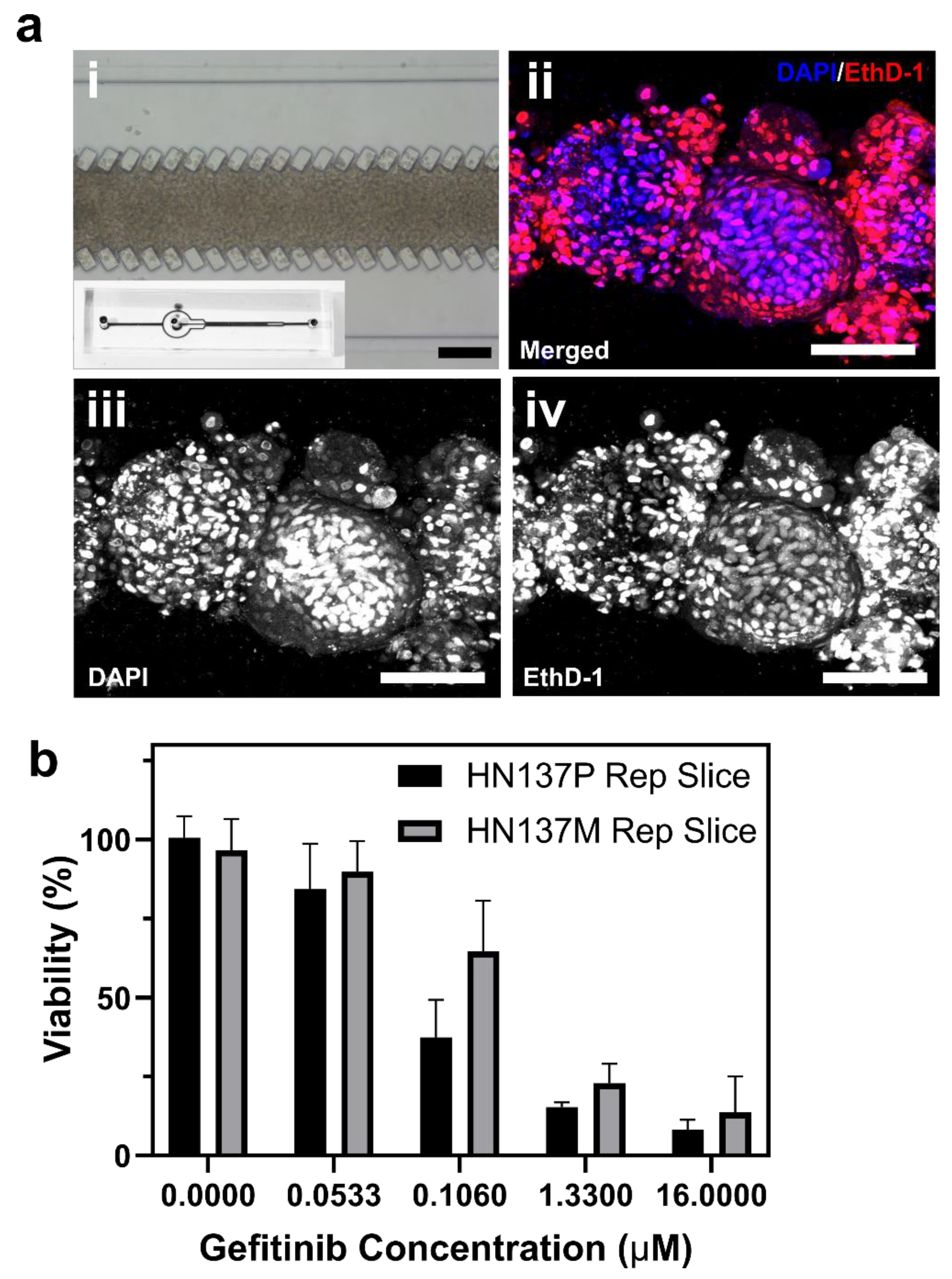 Micromachines Free Full Text Quantitative Image Based Cell Viability Quanticv Assay For Microfluidic 3d Tissue Culture Applications Html
