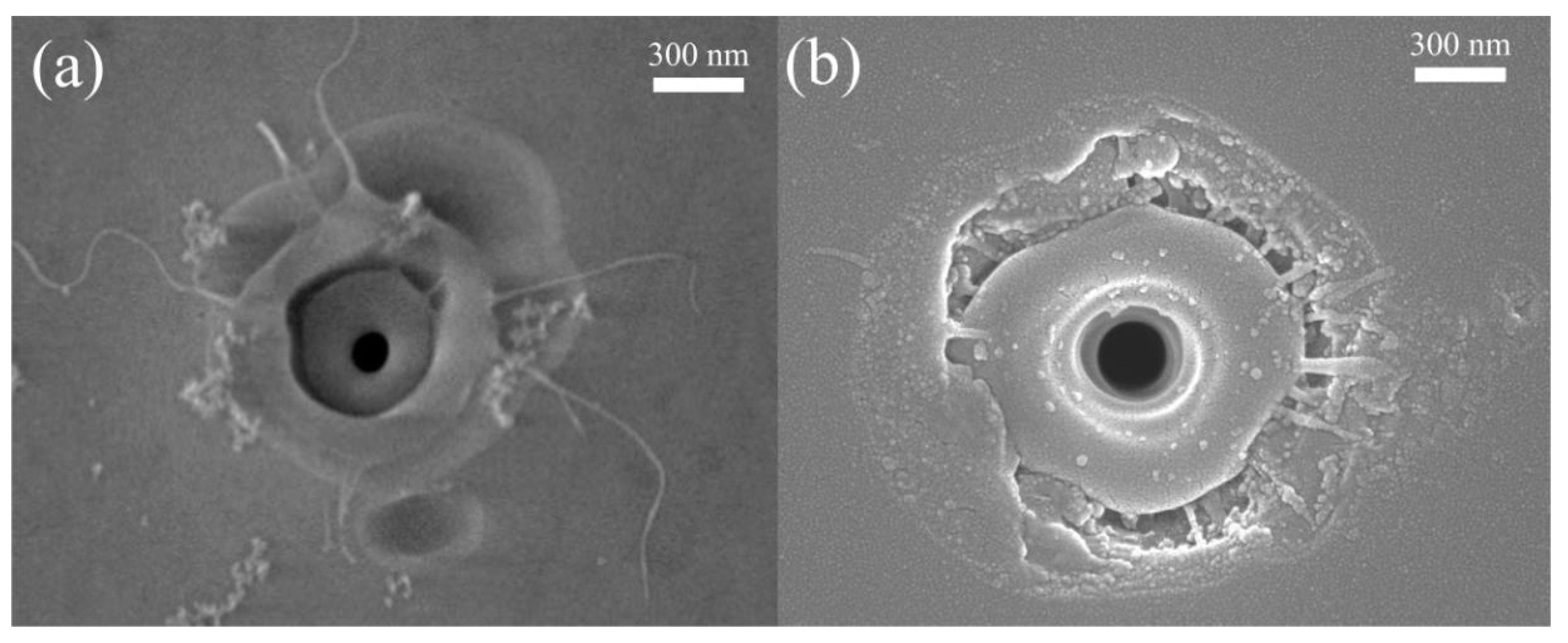 Micromachines 11 00671 g006 Micromachines 11 00671 g006