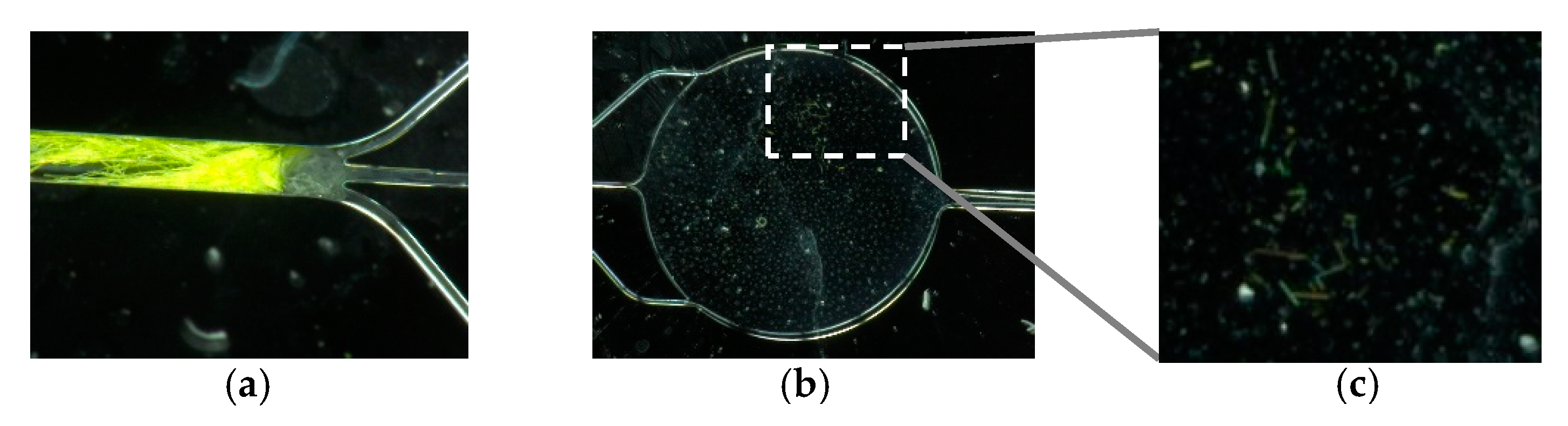 Micromachines 11 00673 g006