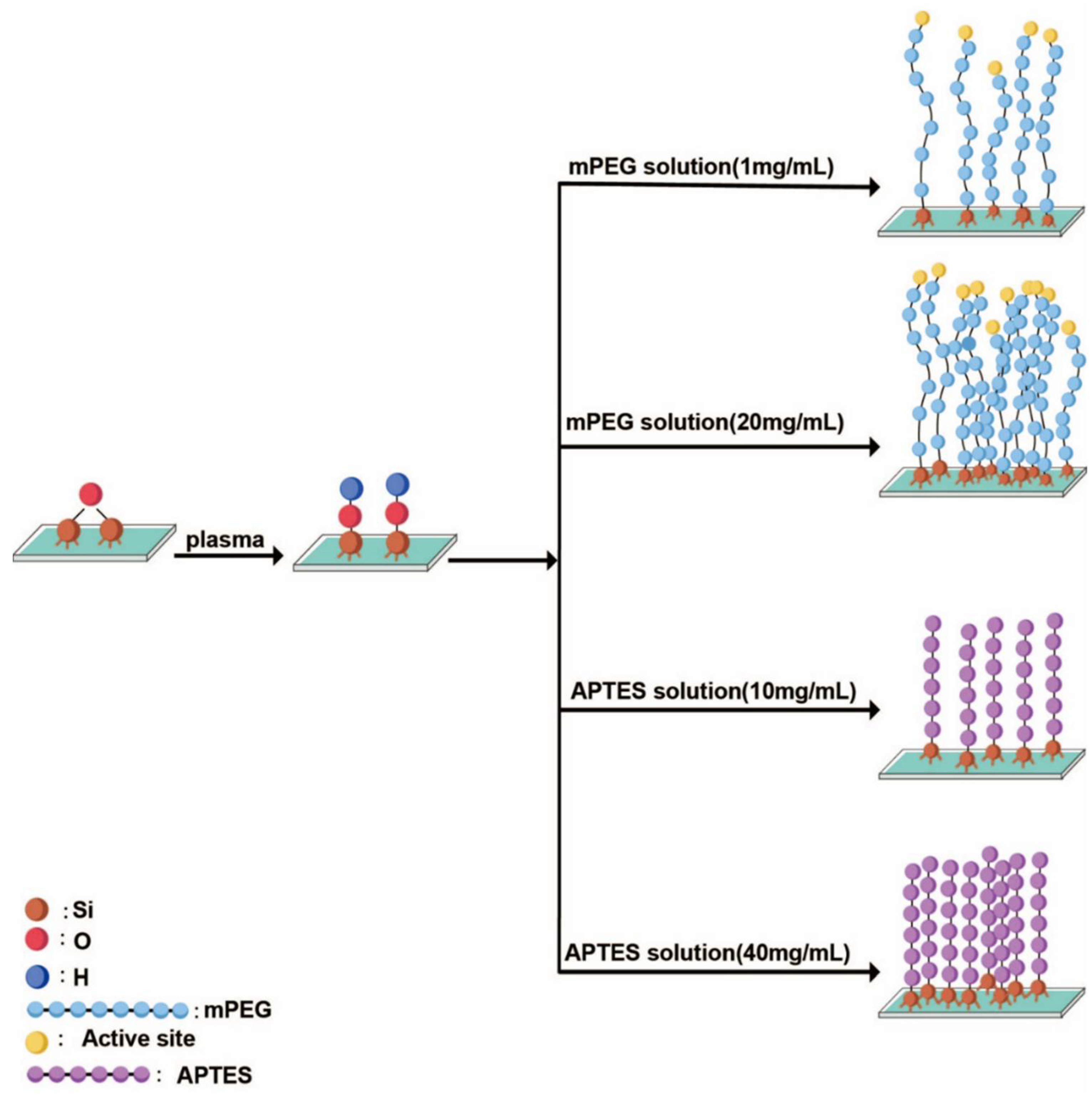 Micromachines 11 00690 g003