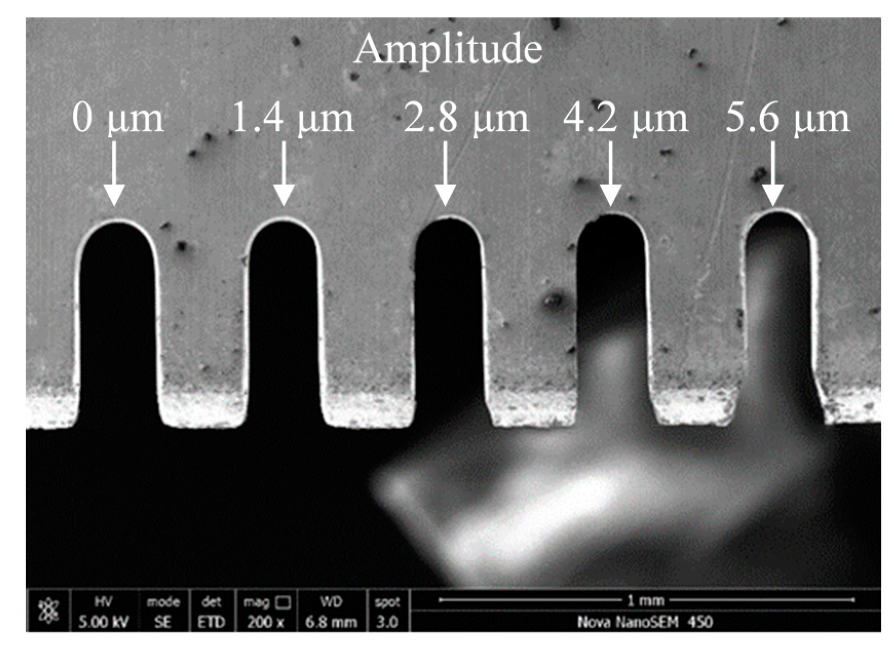Micromachines 11 00698 g009