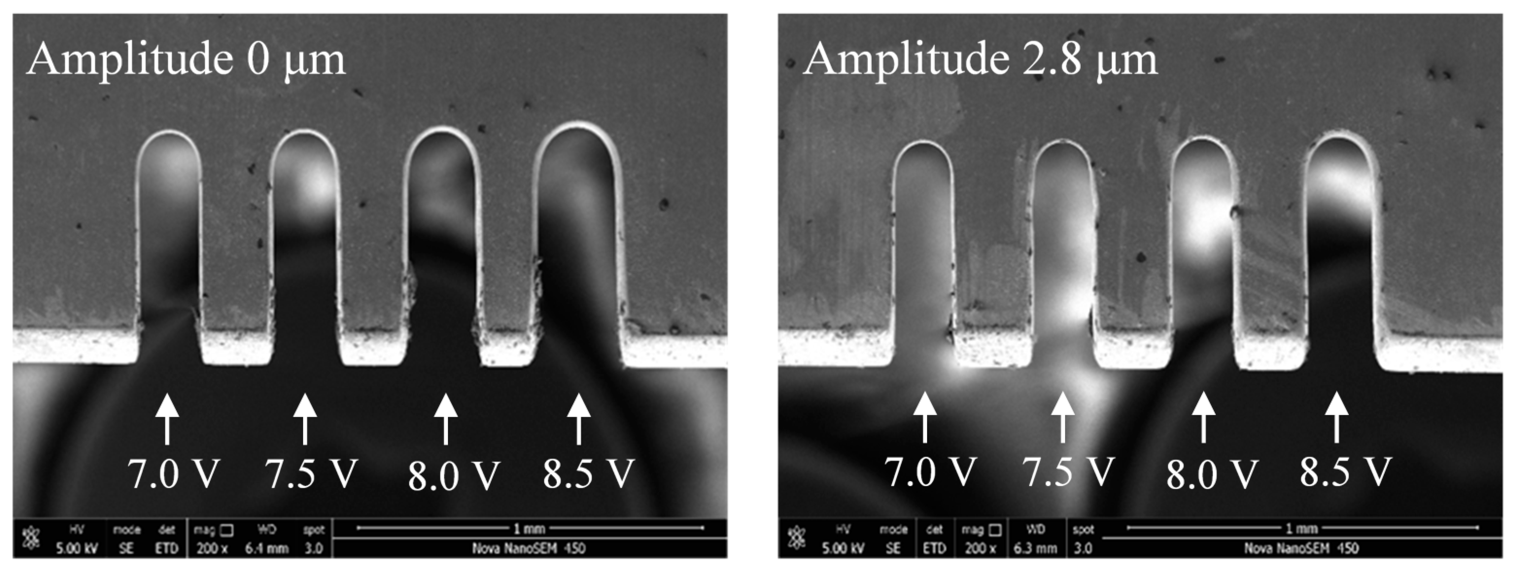 Micromachines 11 00698 g014