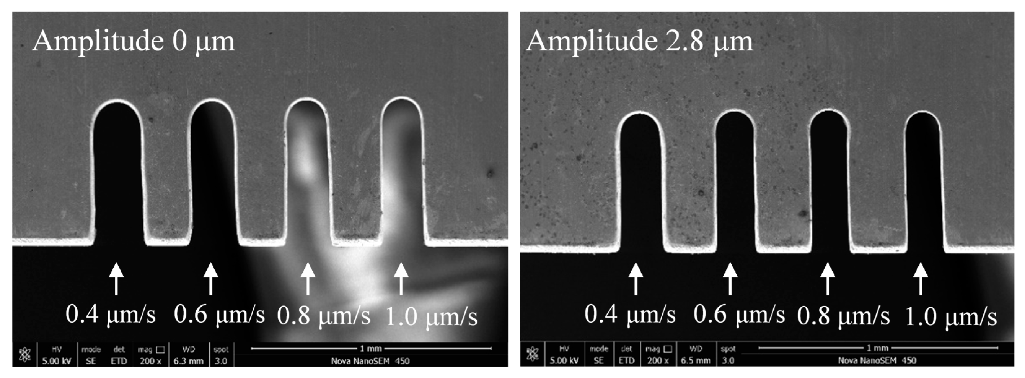 Micromachines 11 00698 g020