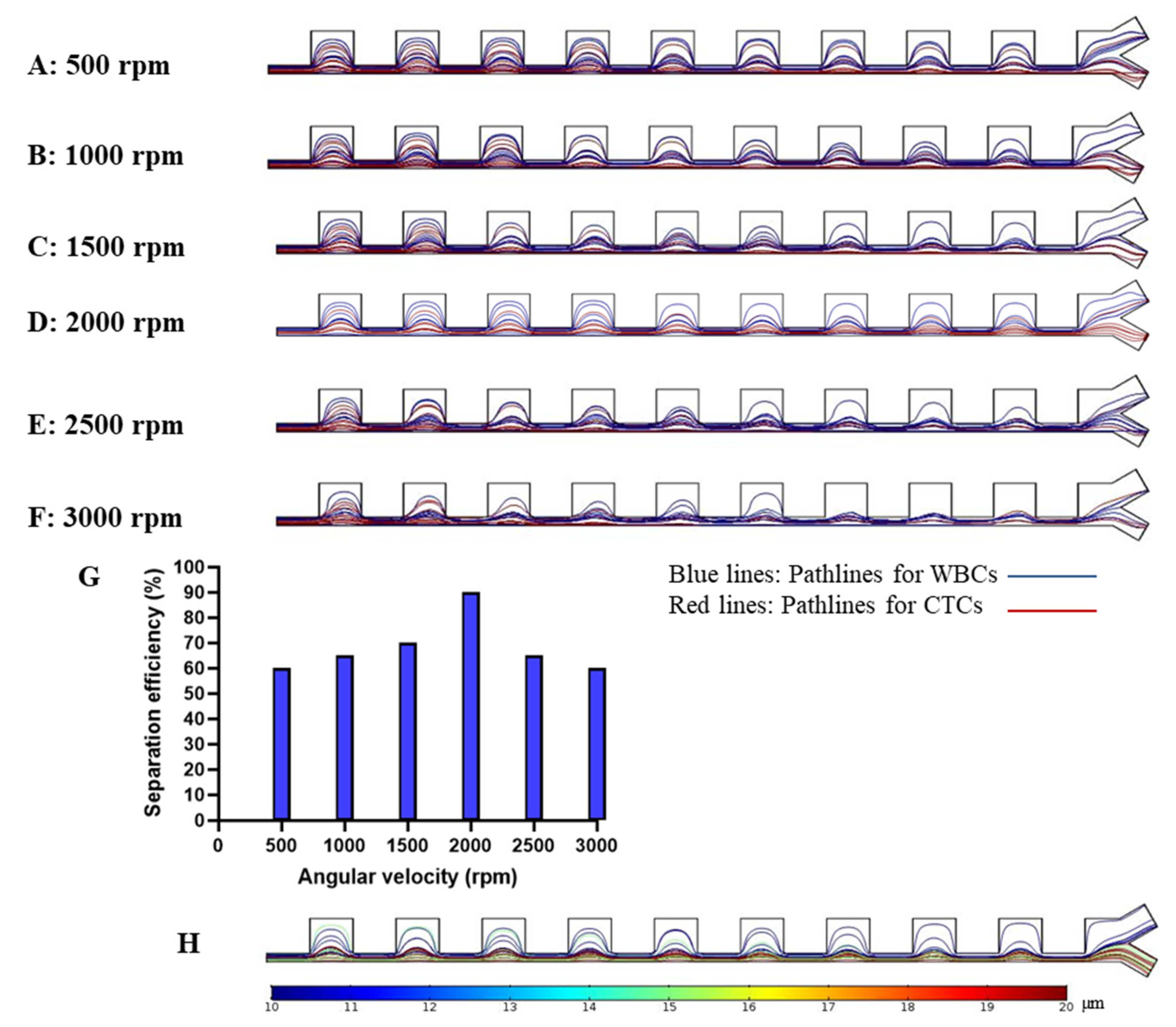 Micromachines 11 00699 g005 Micromachines 11 00699 g005