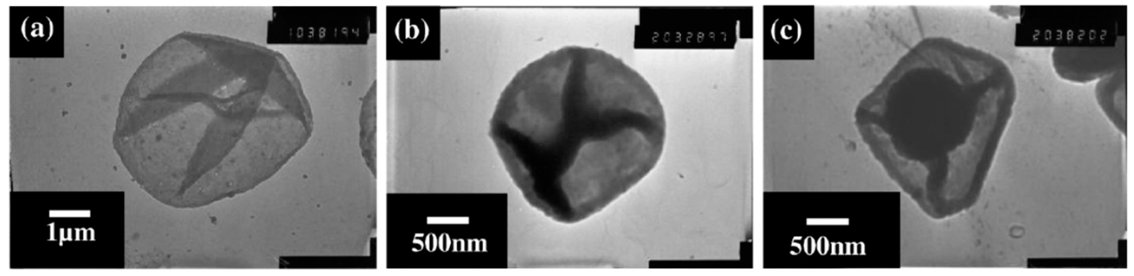 Micromachines 11 00717 g005 Micromachines 11 00717 g005