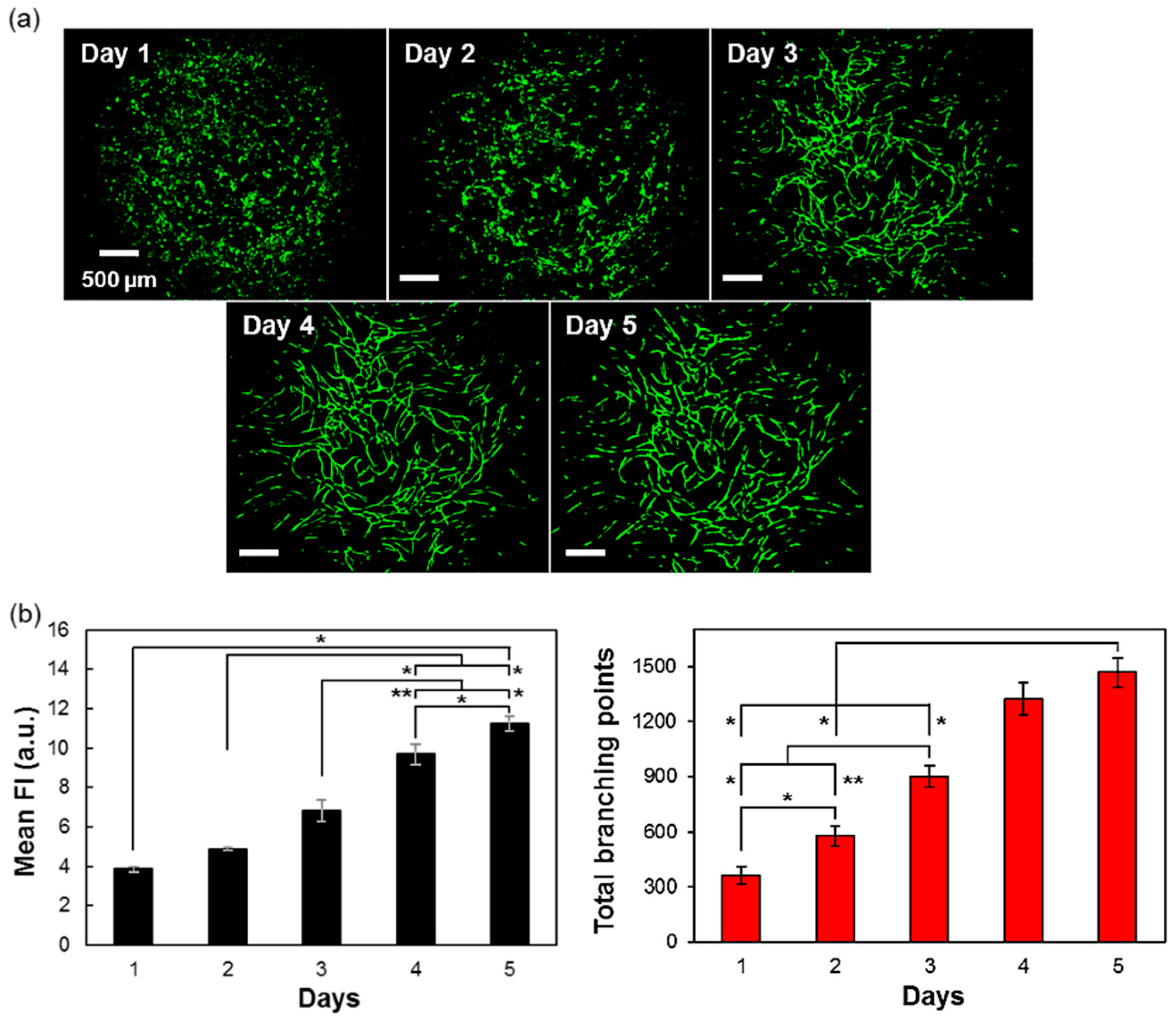 Micromachines 11 00727 g005