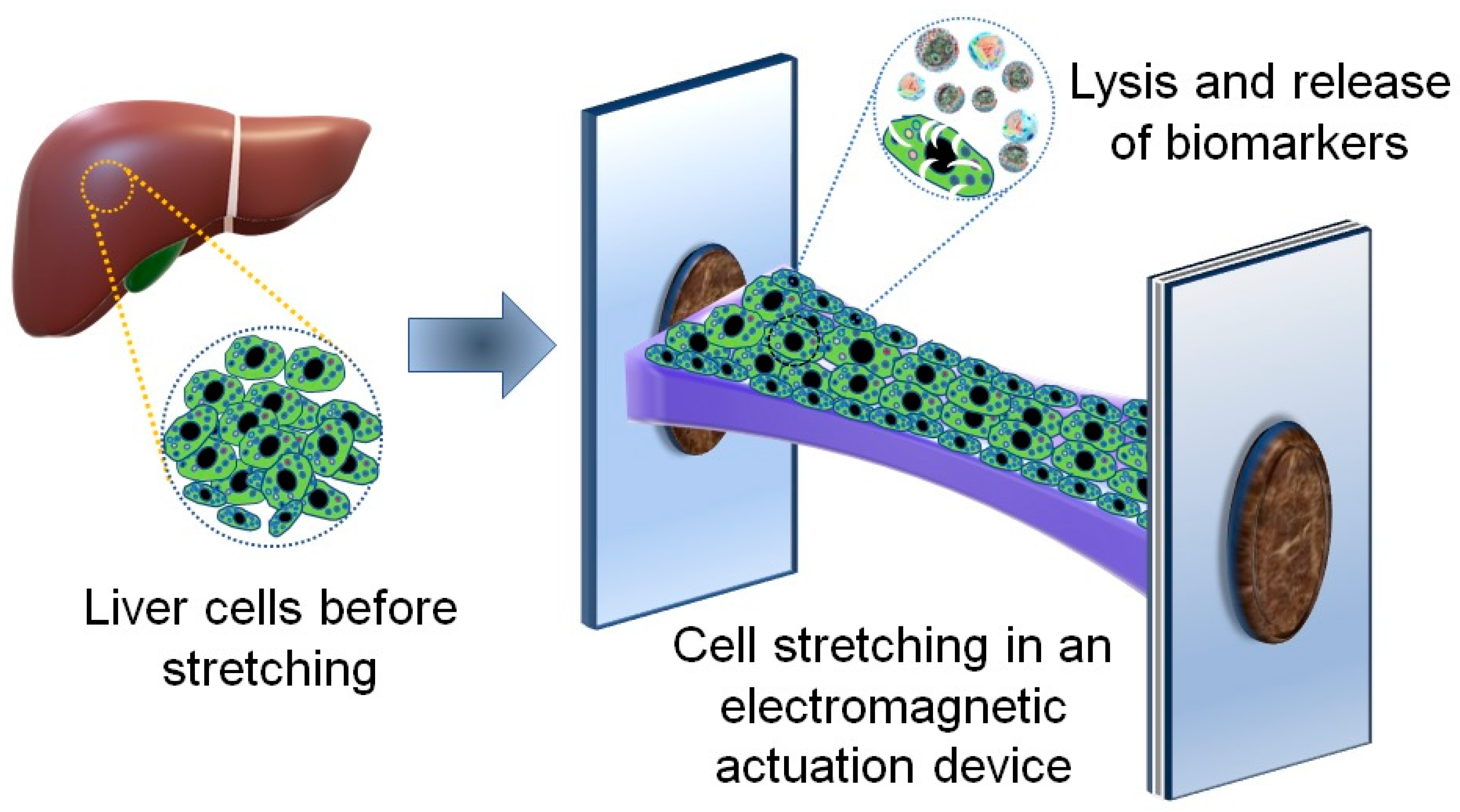 Micromachines 11 00729 g001 Micromachines 11 00729 g001