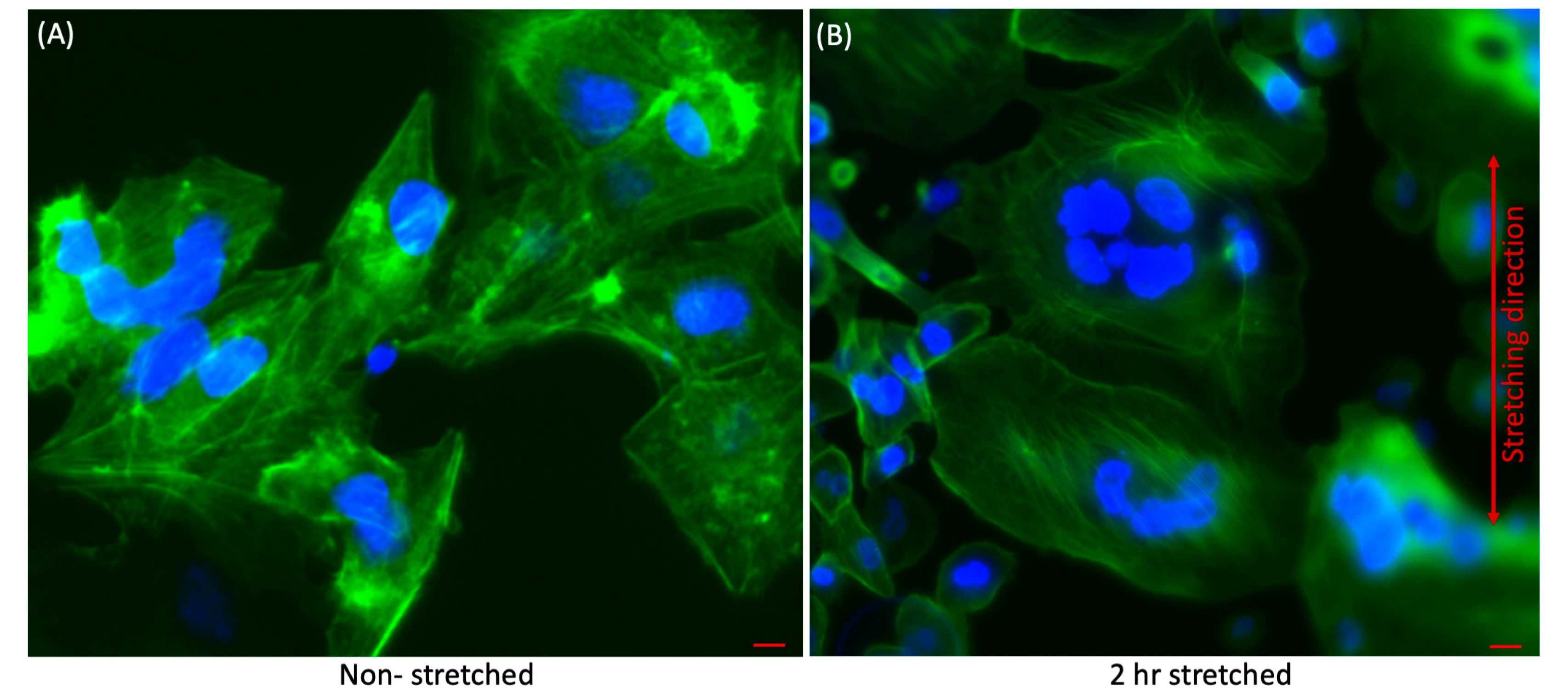Micromachines 11 00729 g002 Micromachines 11 00729 g002
