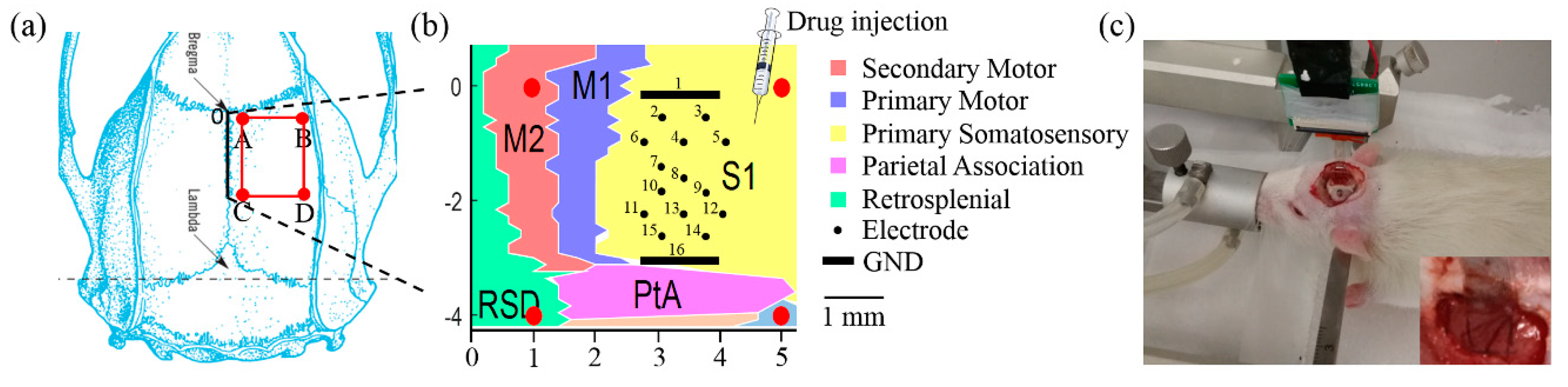 Micromachines 11 00732 g002