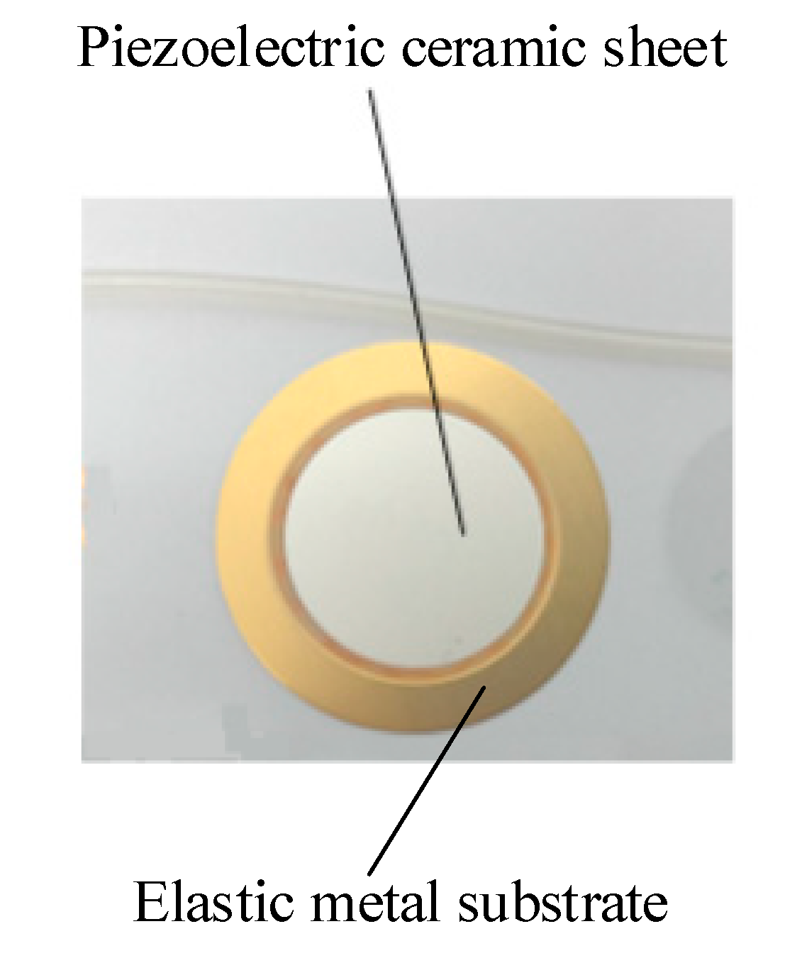 Micromachines 11 00735 g013