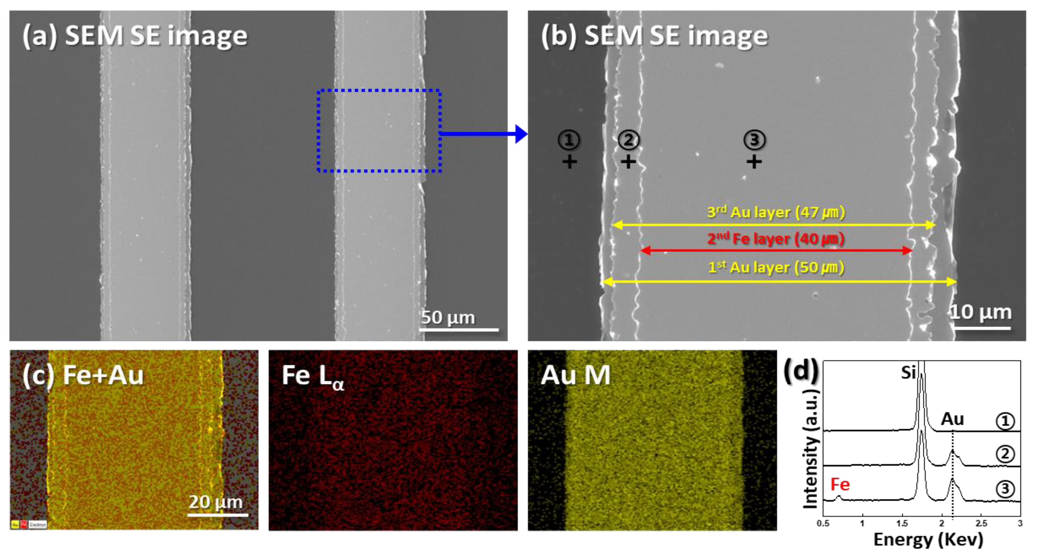 Micromachines 11 00744 g002