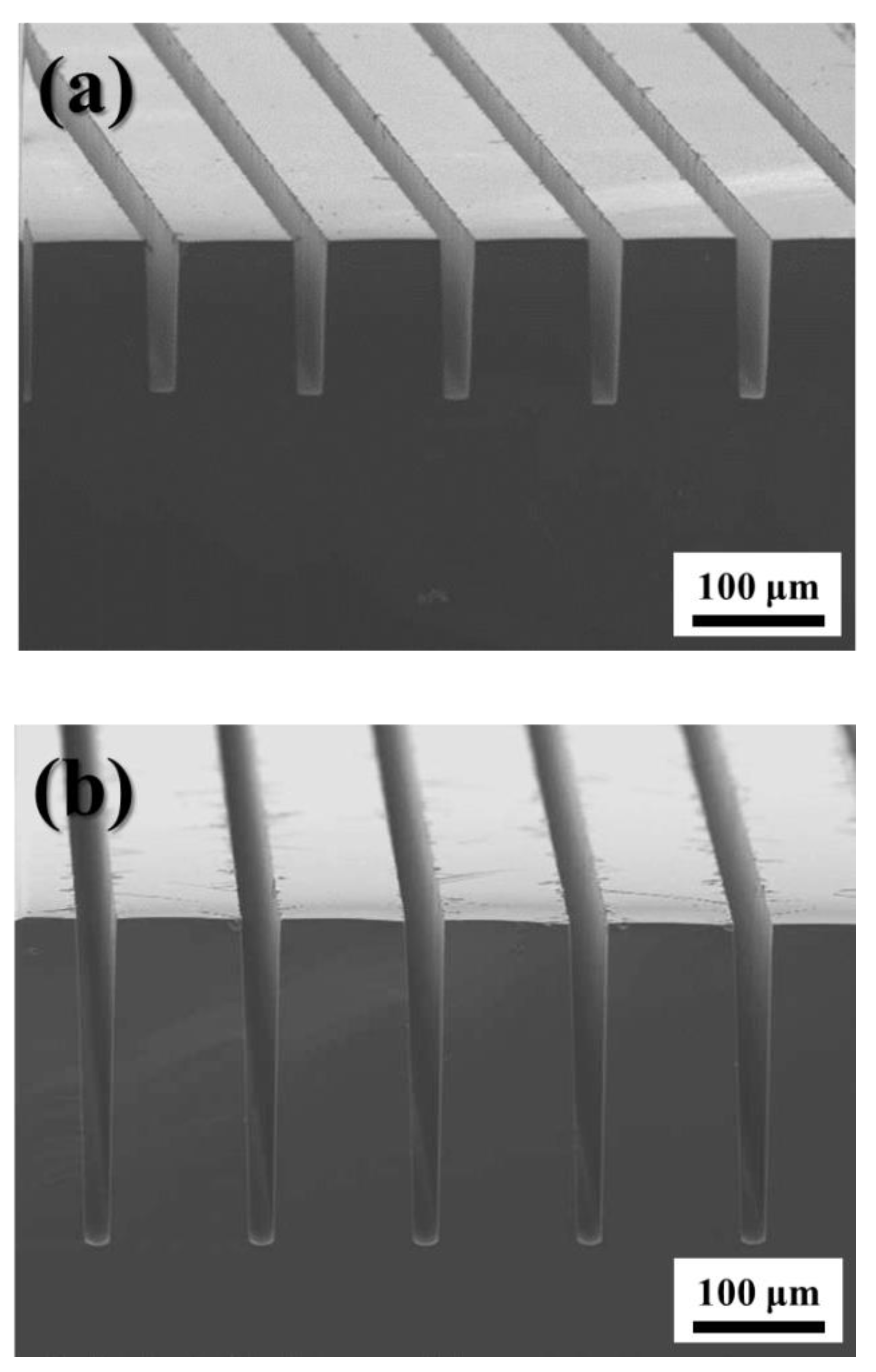 Micromachines 11 00744 g004