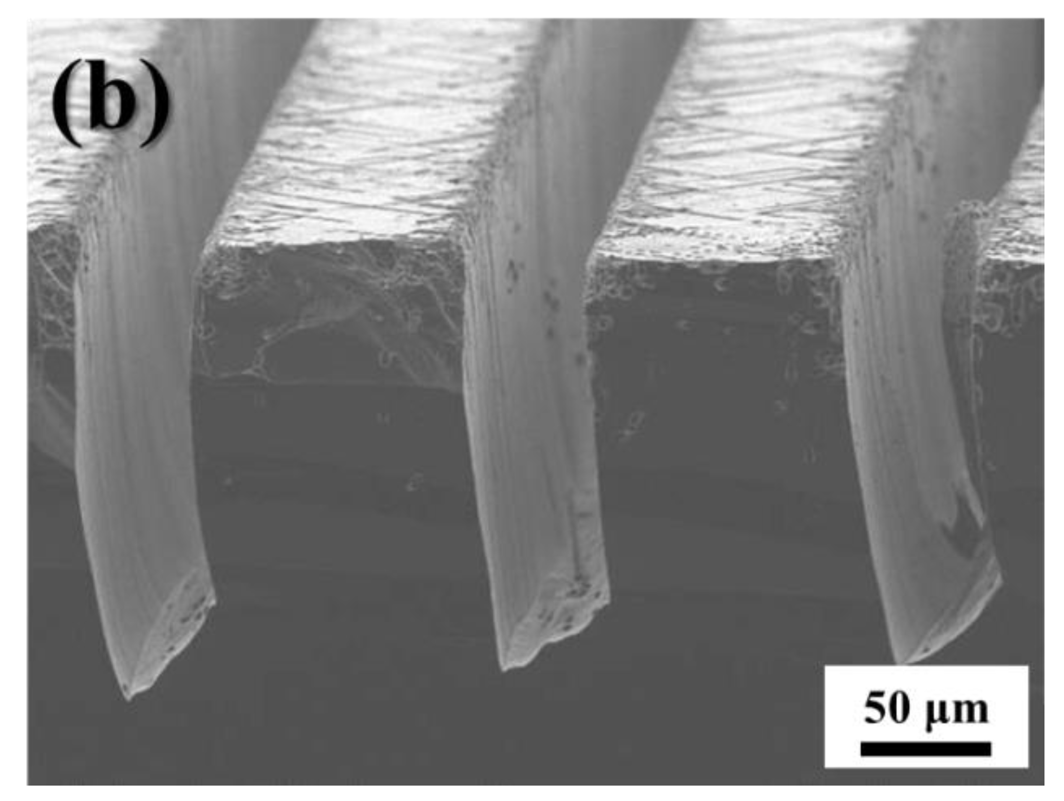 Micromachines 11 00744 g005b