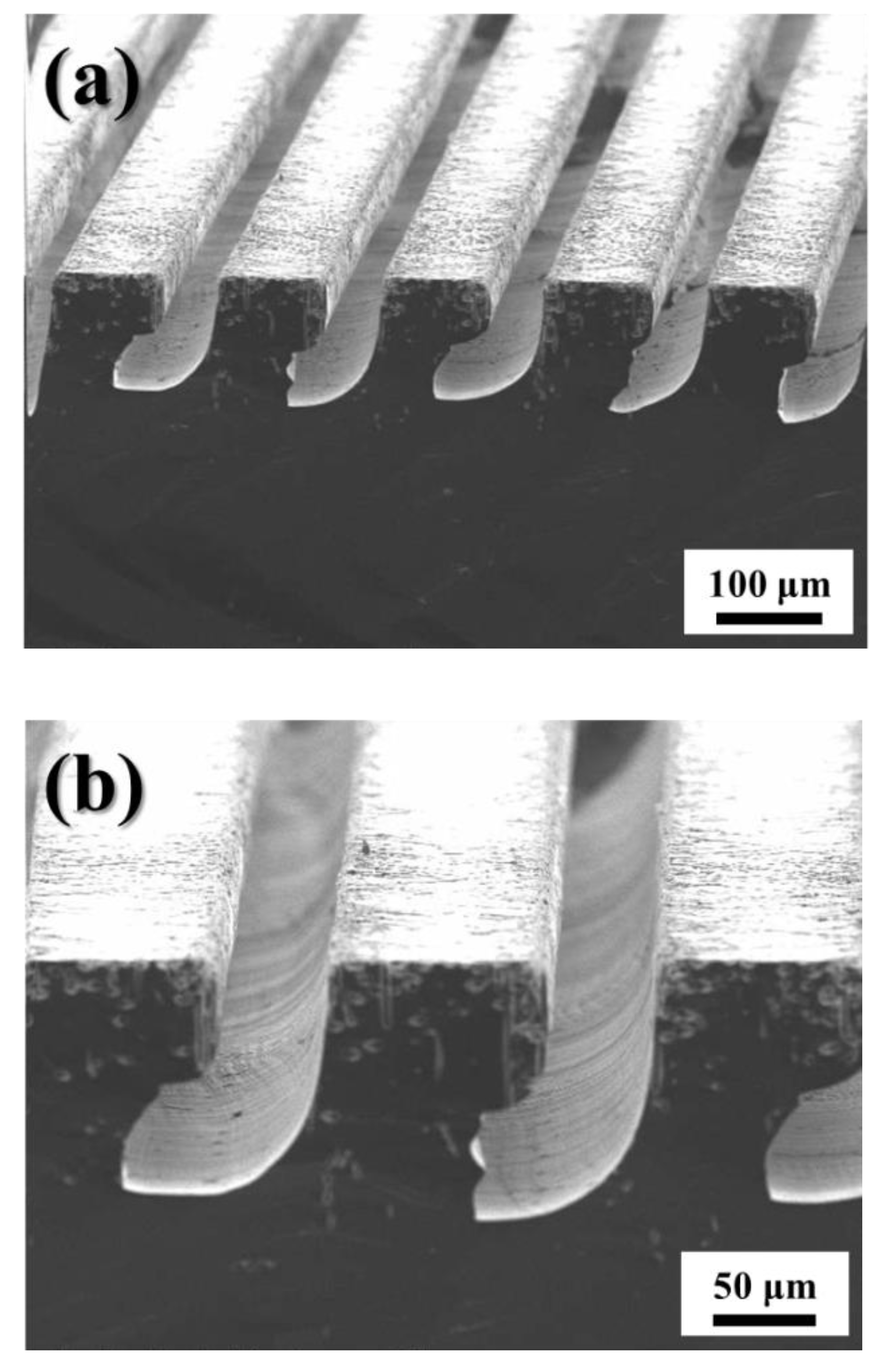 Micromachines 11 00744 g006