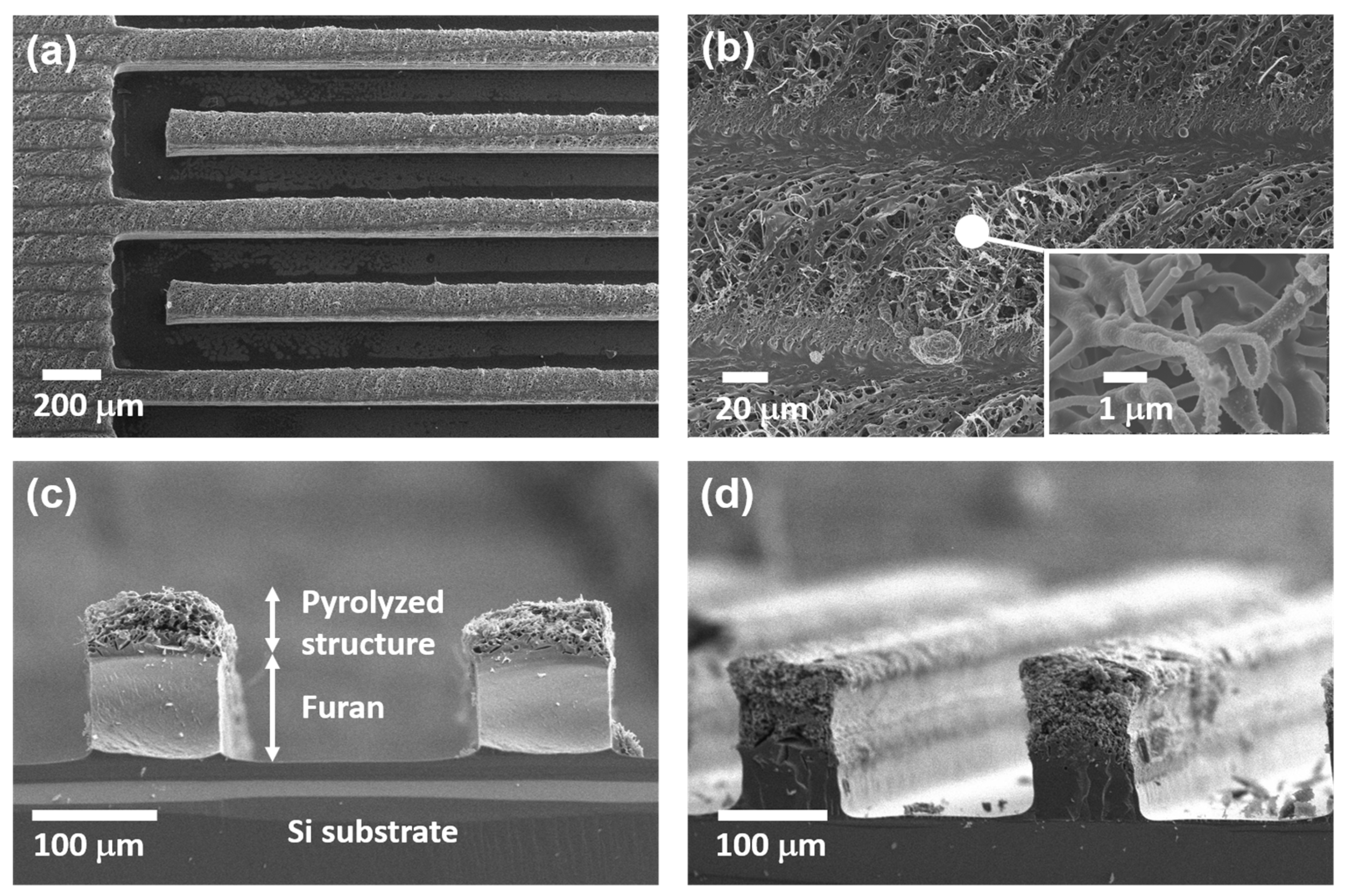 Micromachines 11 00746 g004 Micromachines 11 00746 g004
