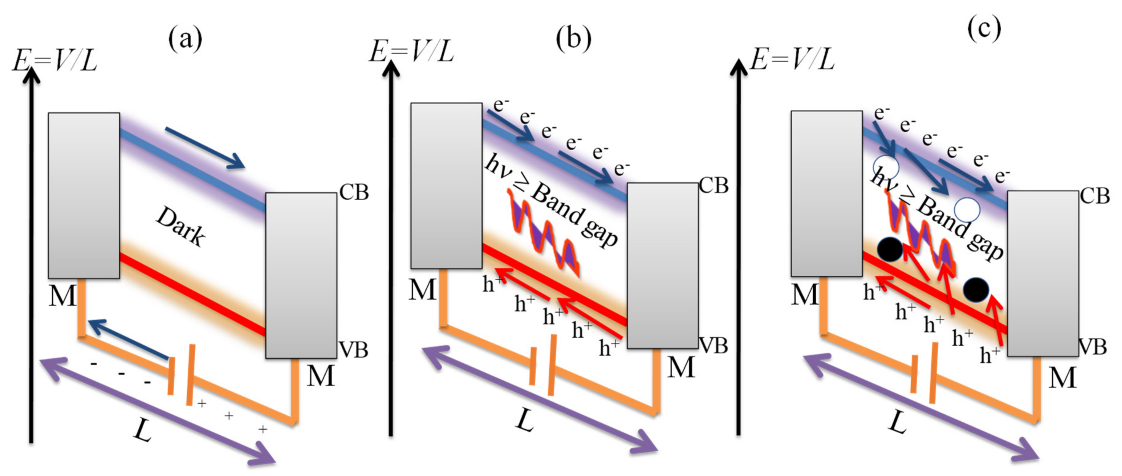 Micromachines Free Full Text Device Architecture For Visible And Near Infrared Photodetectors Based On Two Dimensional Snse2 And Mos2 A Review Html