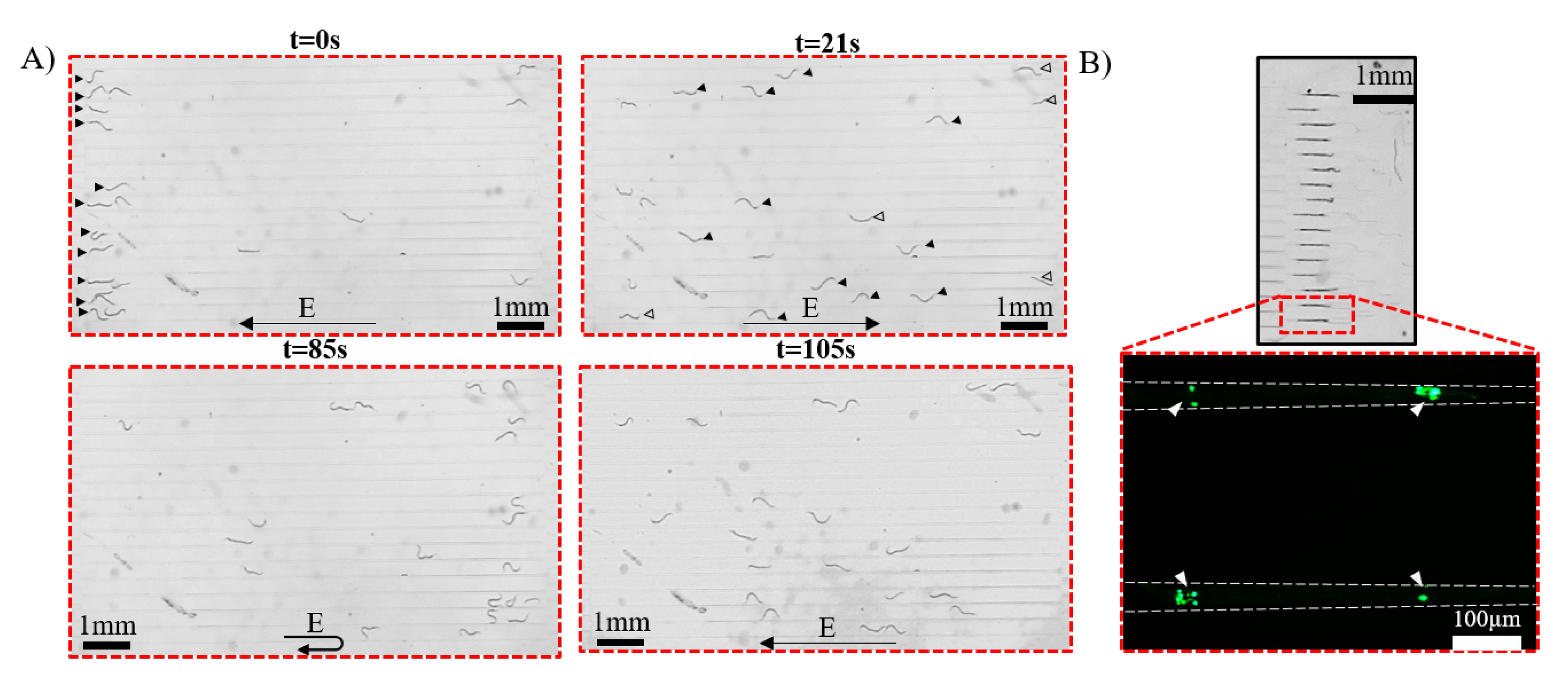 Micromachines 11 00756 g003 Micromachines 11 00756 g003