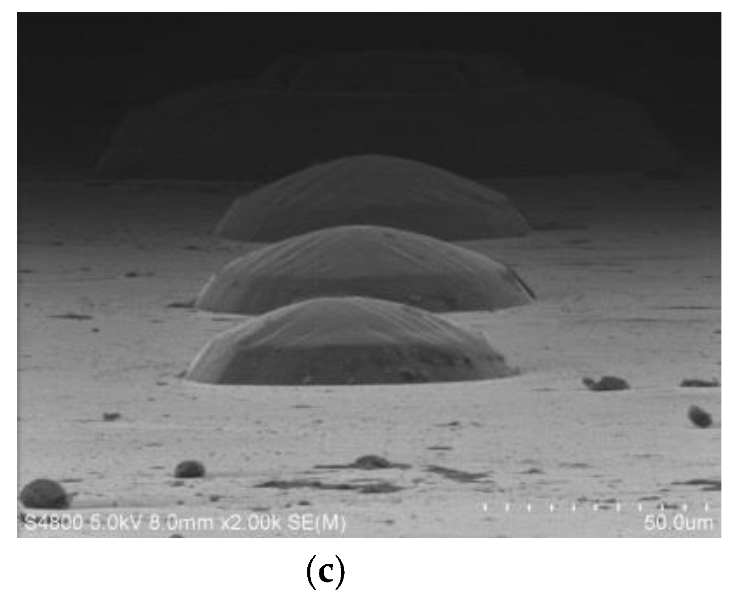 Micromachines 11 00764 g009b