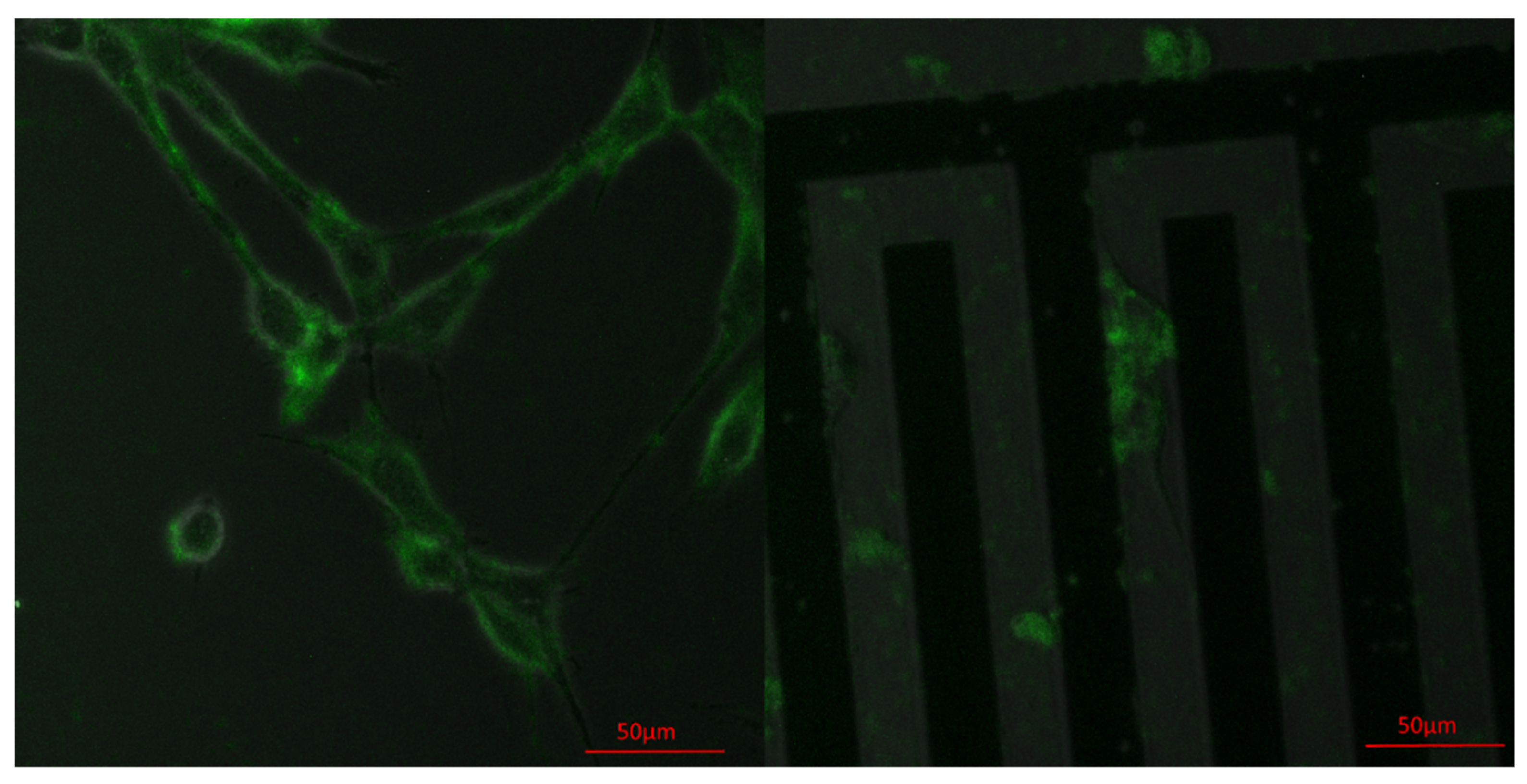 Micromachines 11 00767 g004 Micromachines 11 00767 g004