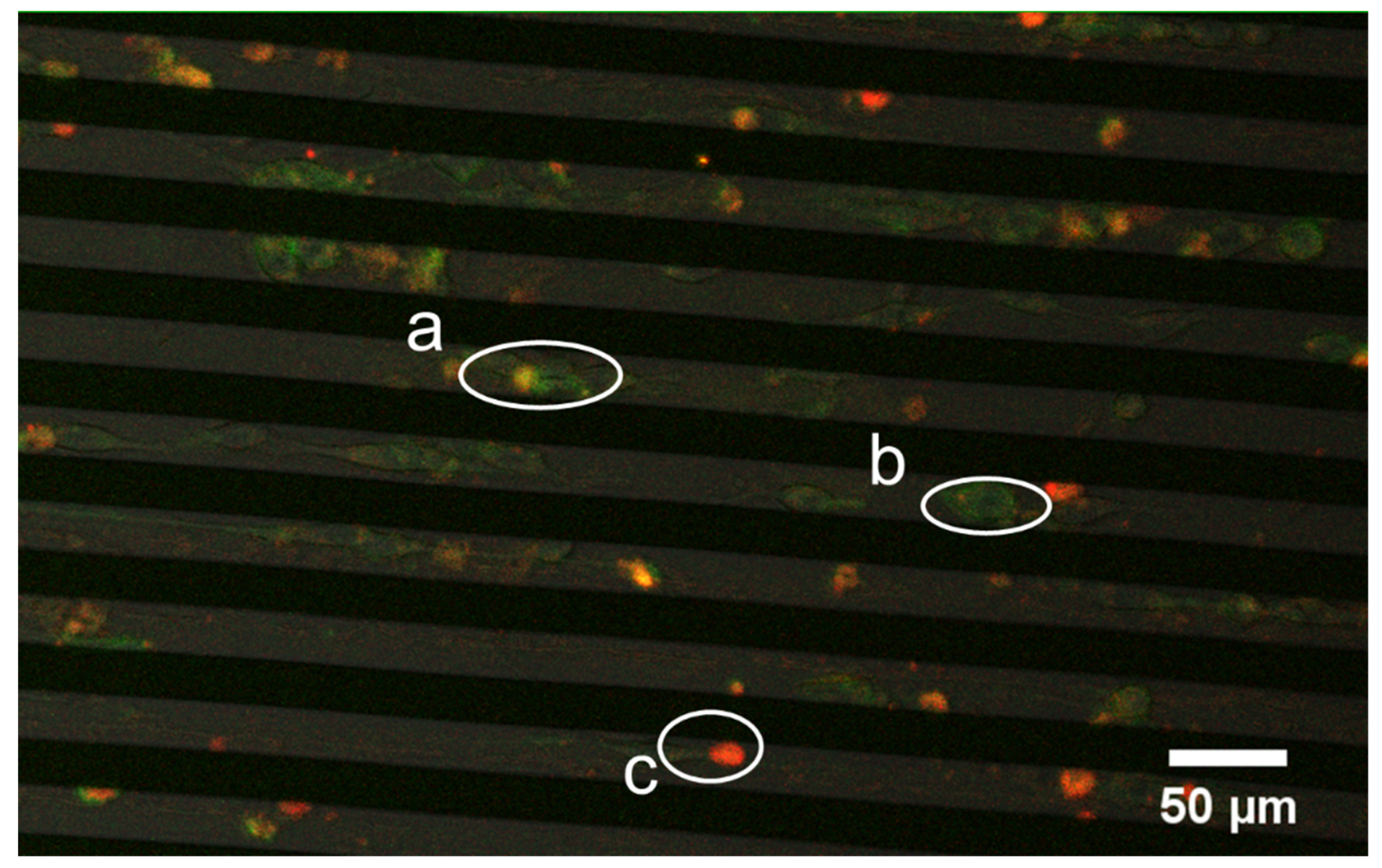 Micromachines 11 00767 g006 Micromachines 11 00767 g006