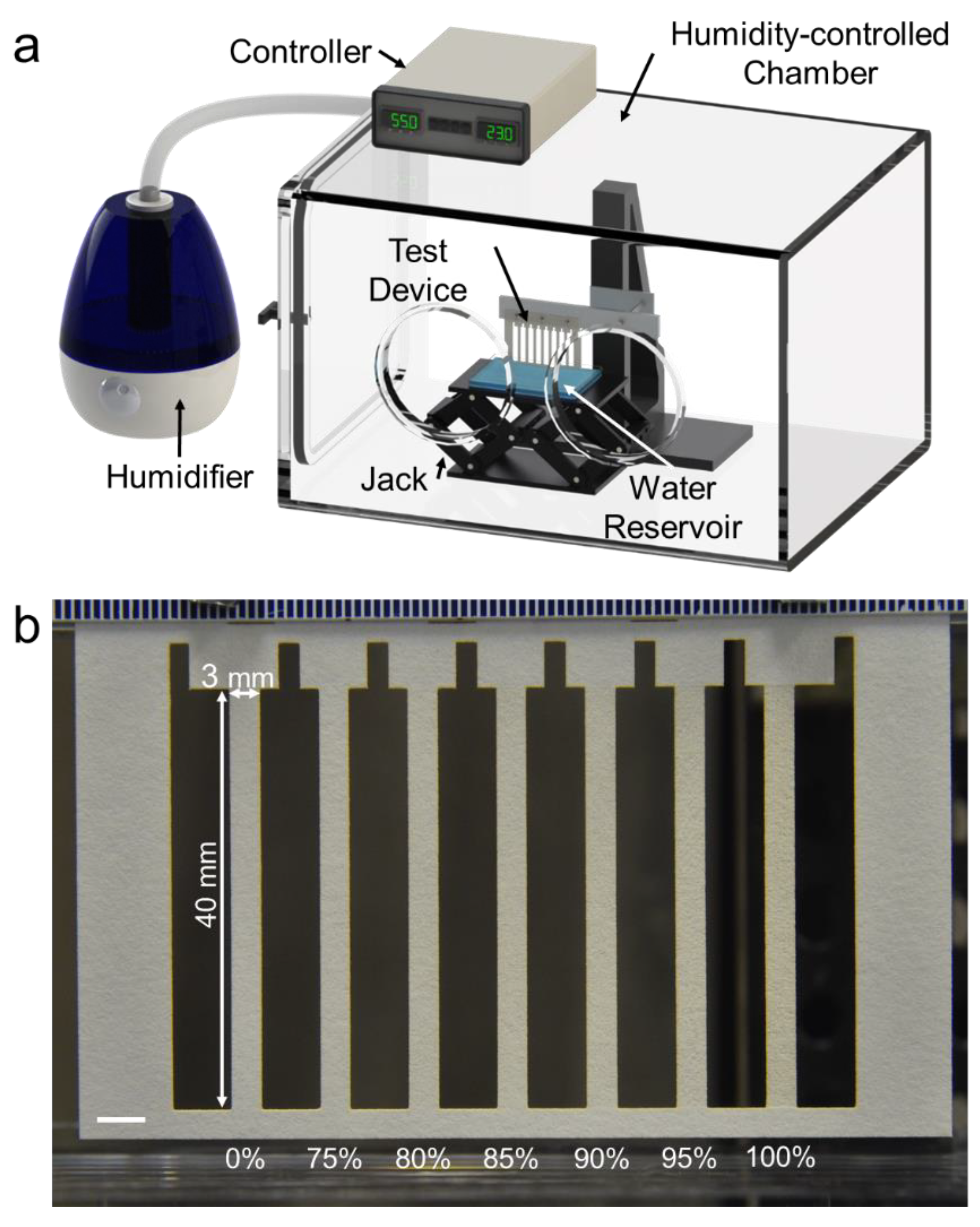 Micromachines 11 00773 g001