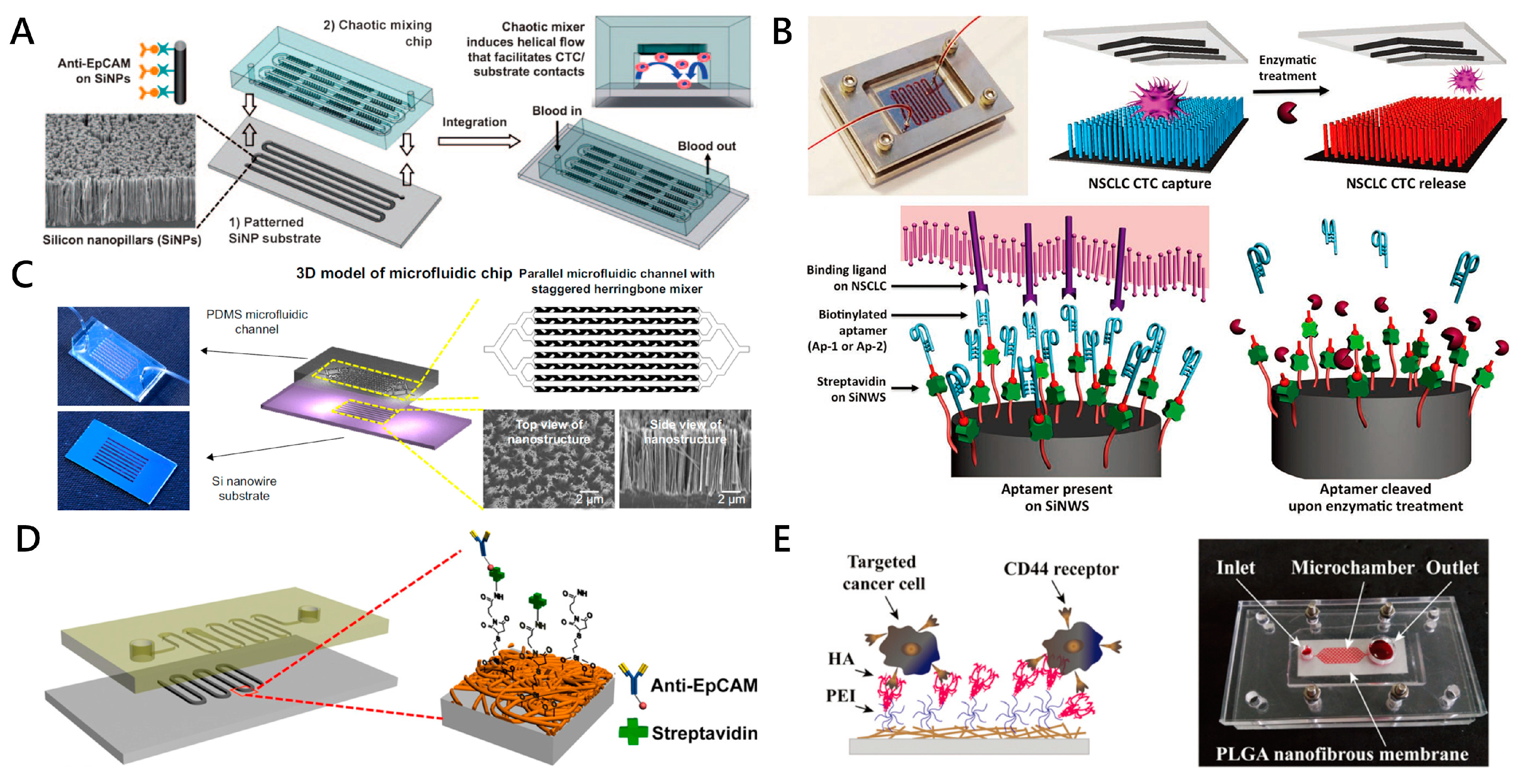 Micromachines 11 00774 g003