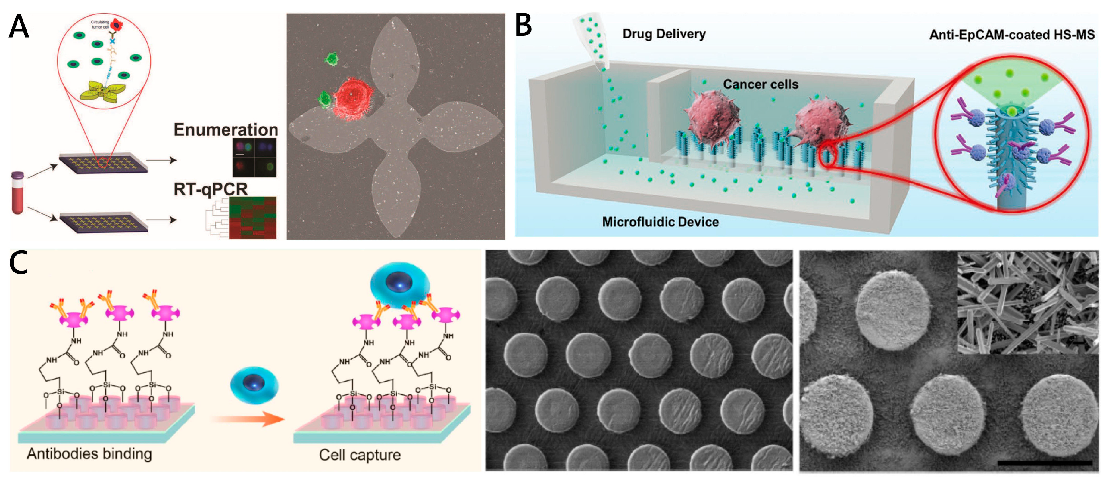 Micromachines 11 00774 g004