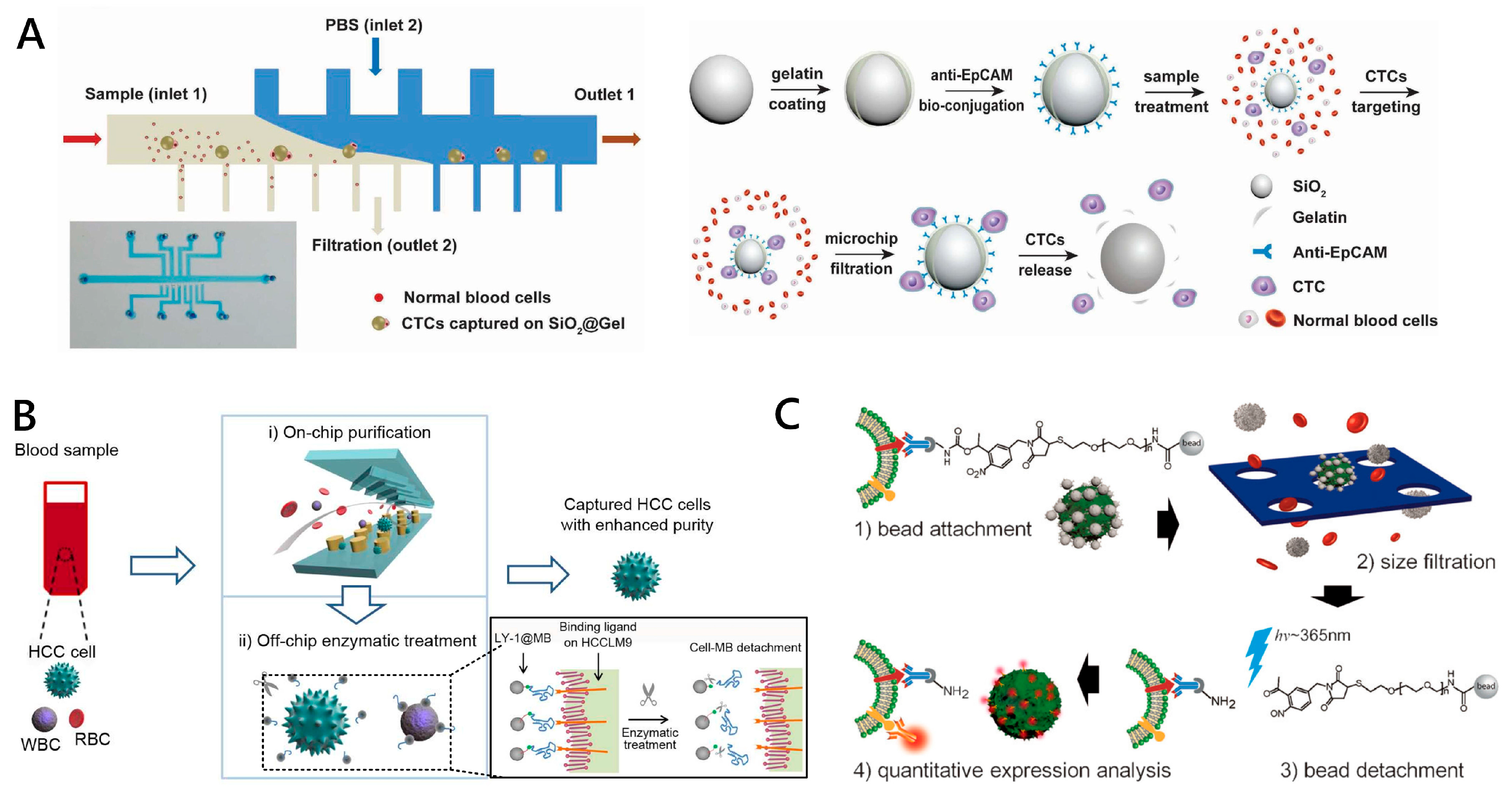 Micromachines 11 00774 g005
