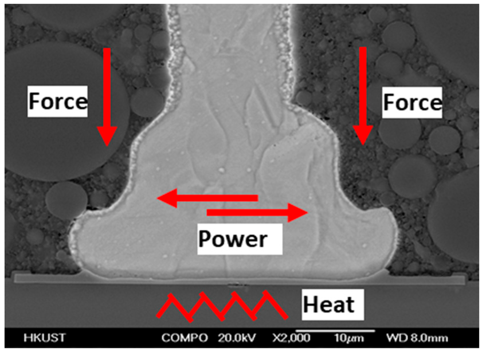 Micromachines 11 00777 g007