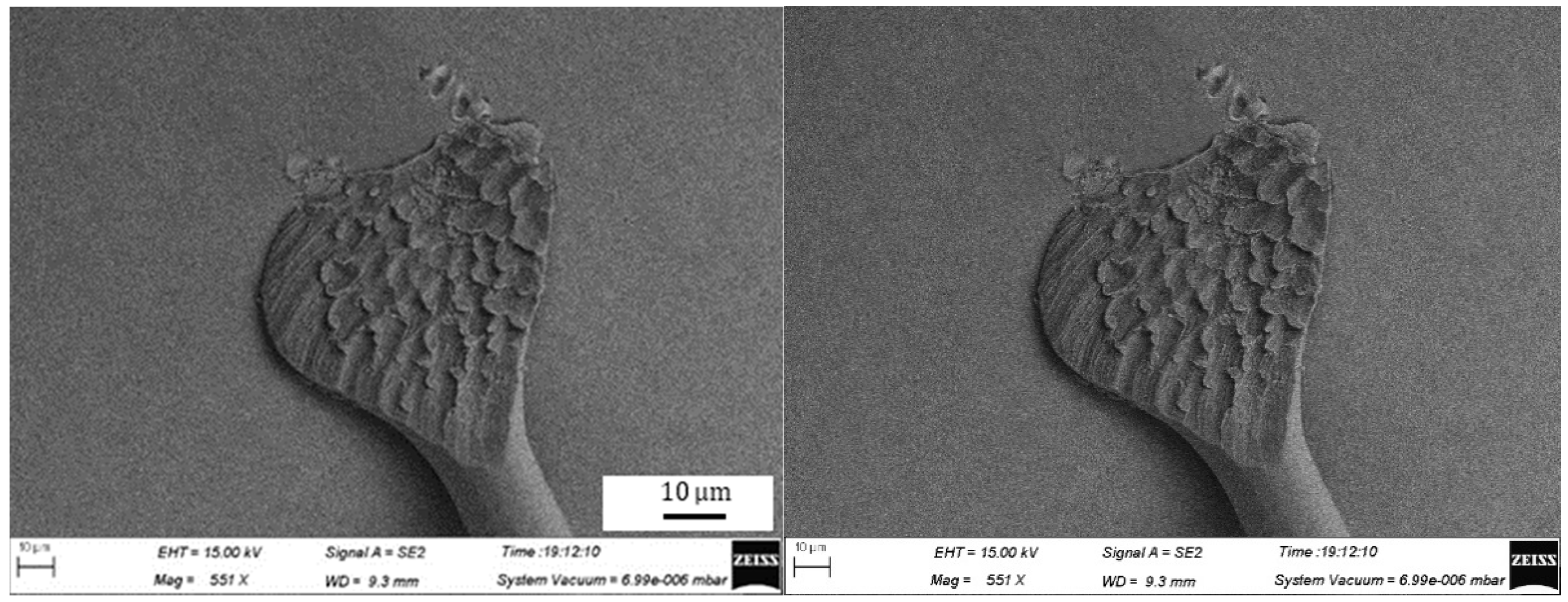 Micromachines 11 00777 g016