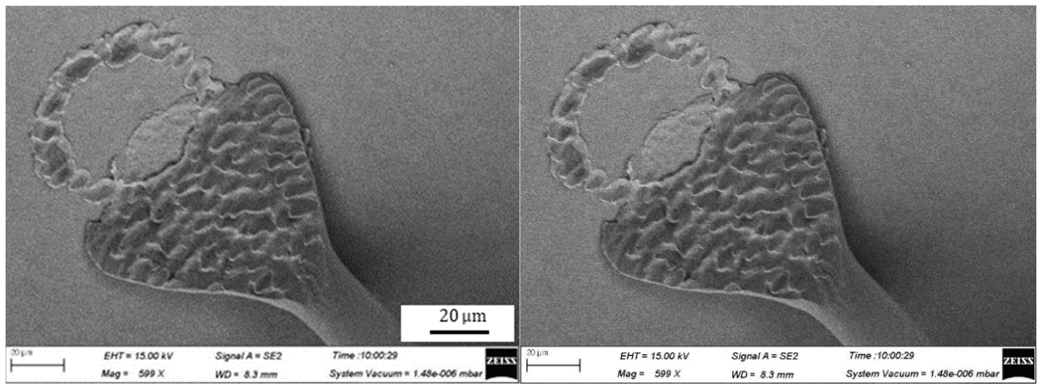 Micromachines 11 00777 g017