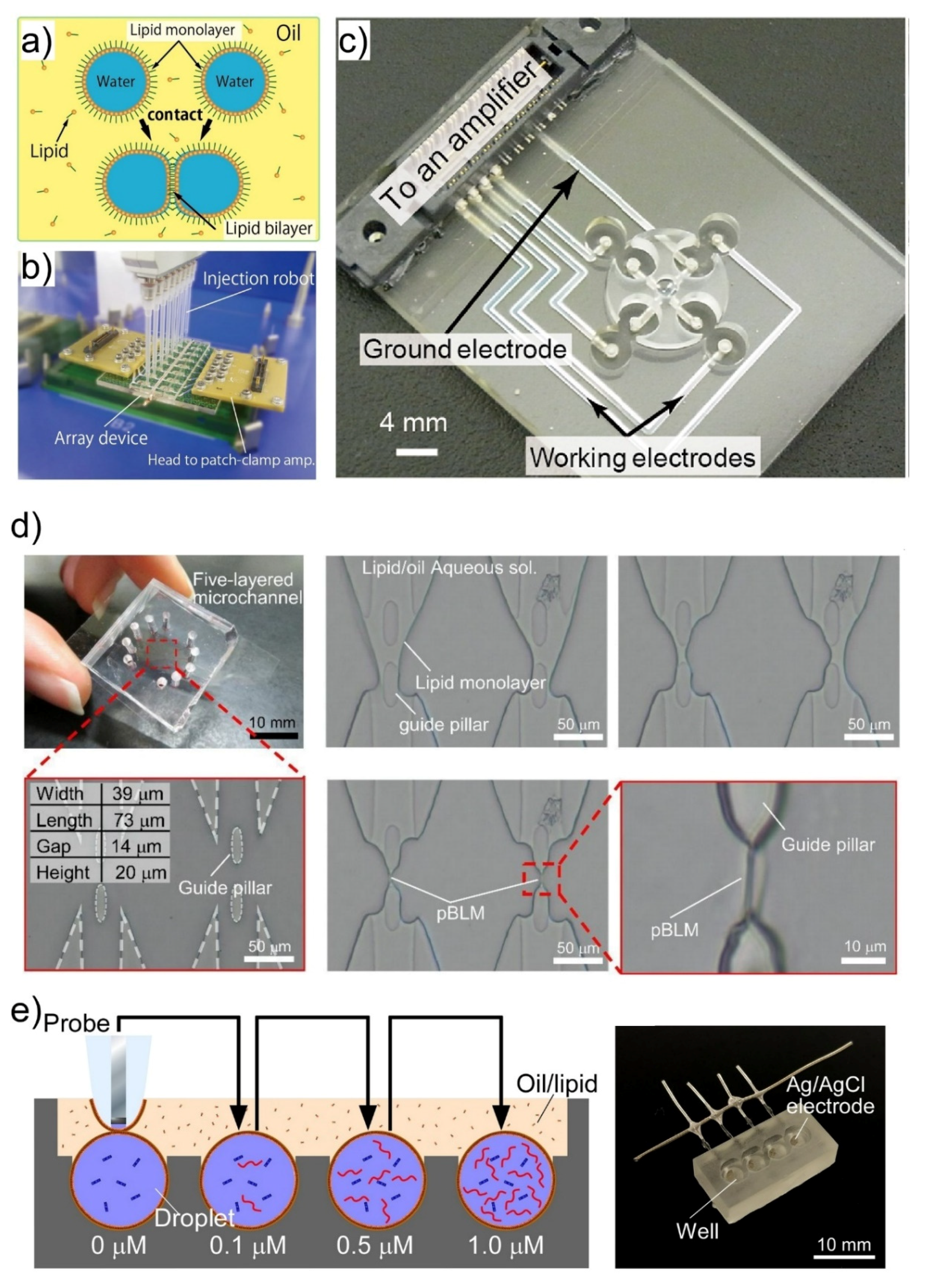 Micromachines 11 00788 g003