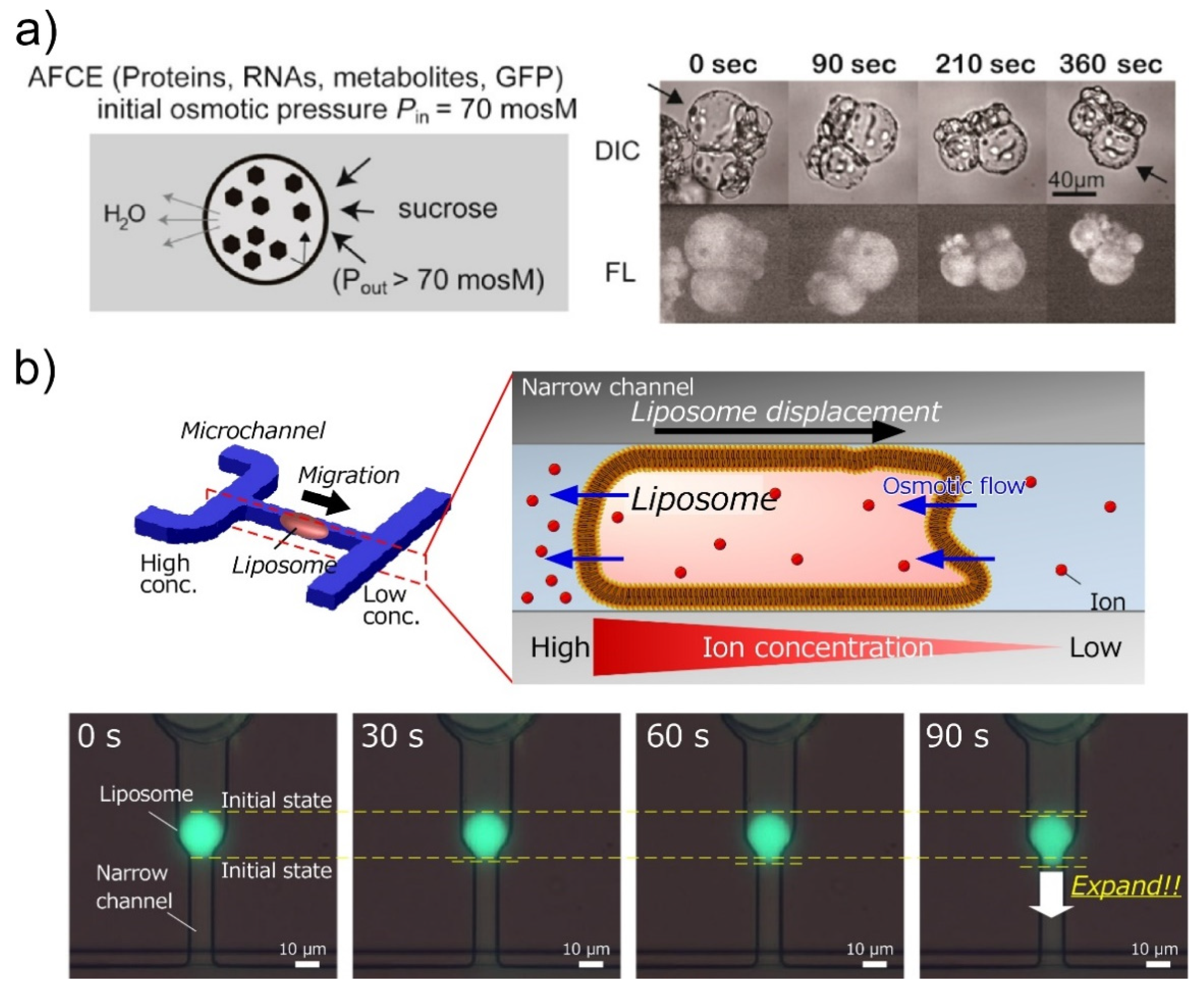 Micromachines 11 00788 g006