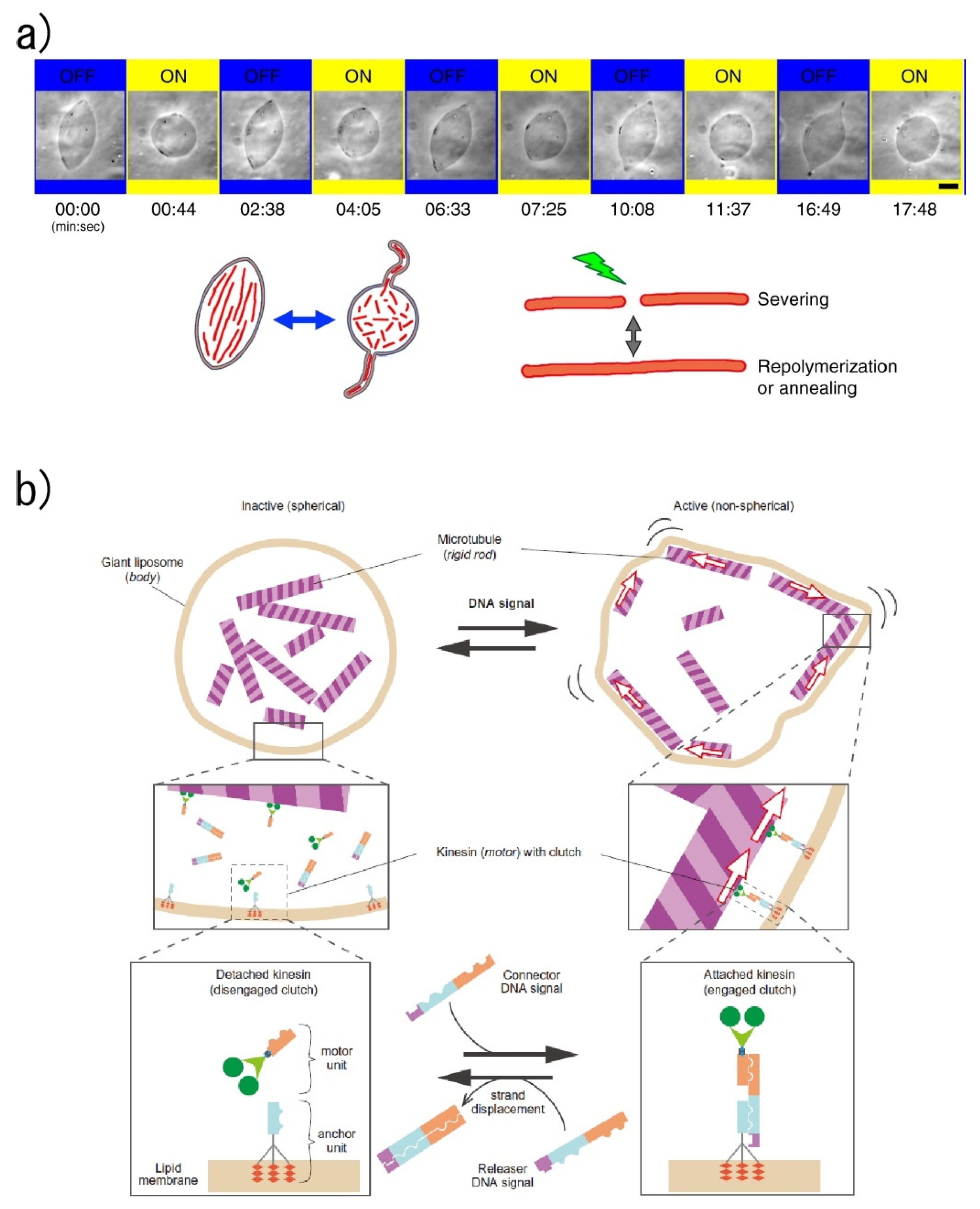 Micromachines 11 00788 g007