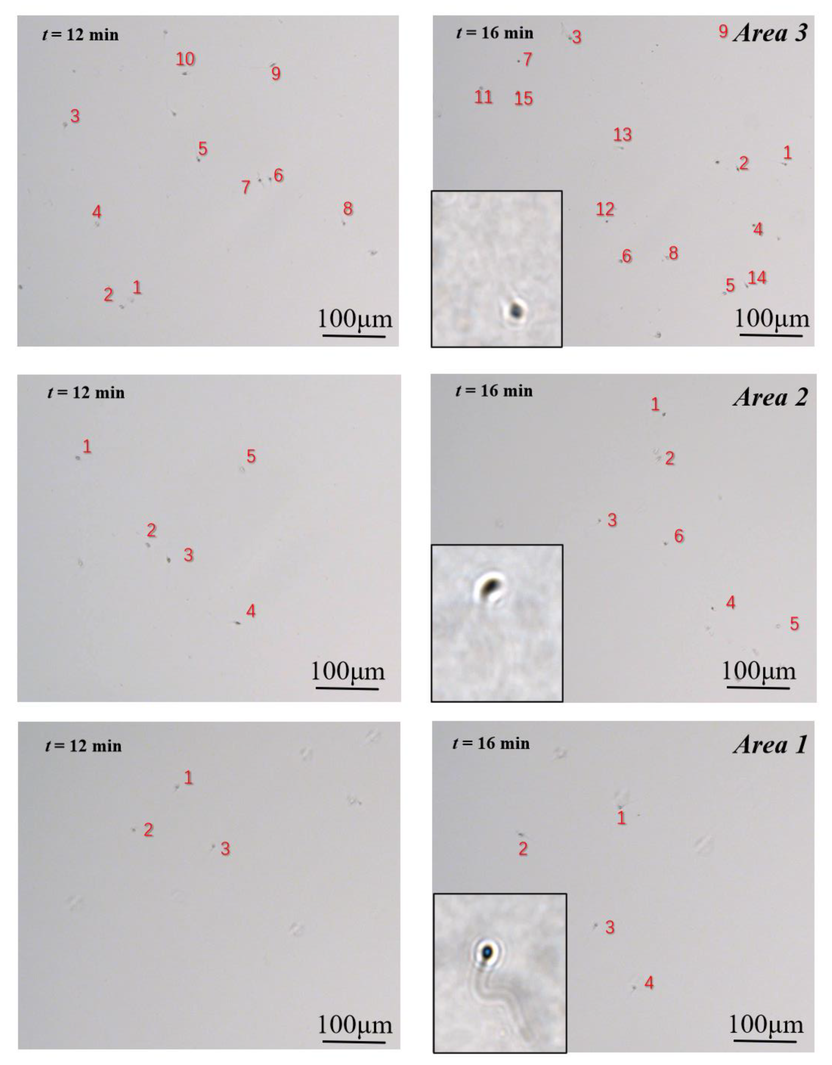 Micromachines 11 00793 g004