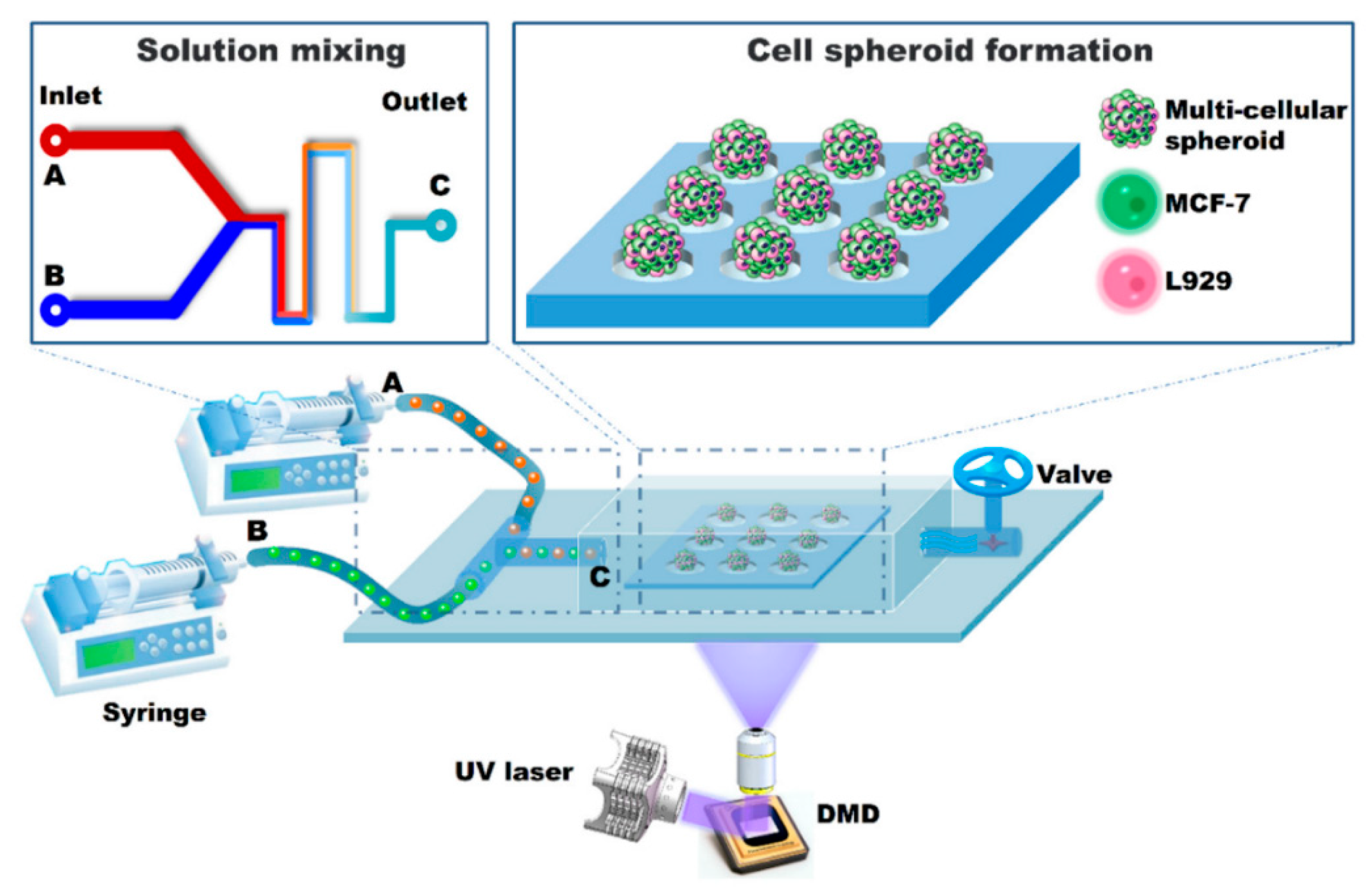 Micromachines 11 00796 g005 Micromachines 11 00796 g005