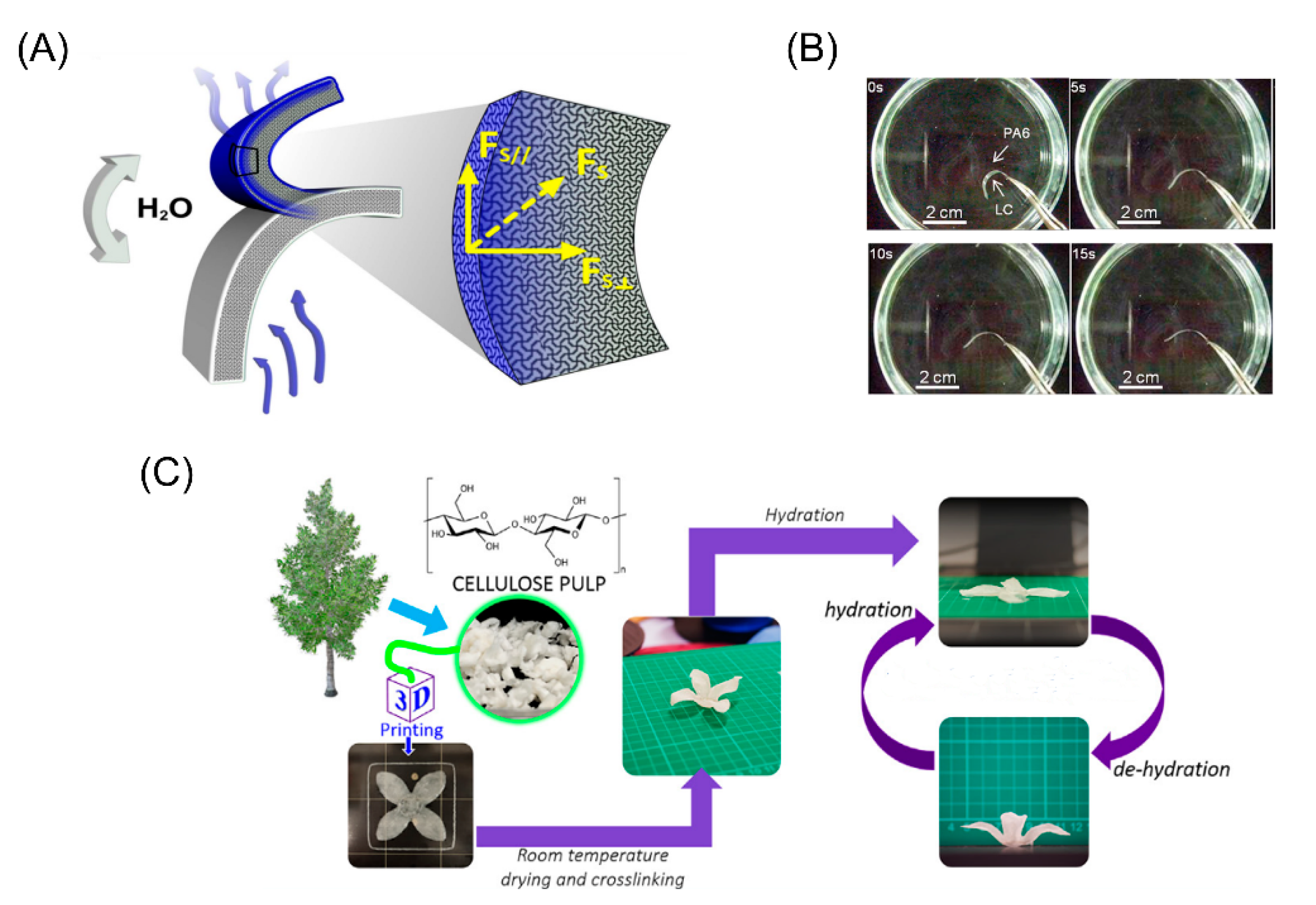 Micromachines 11 00796 g006 Micromachines 11 00796 g006