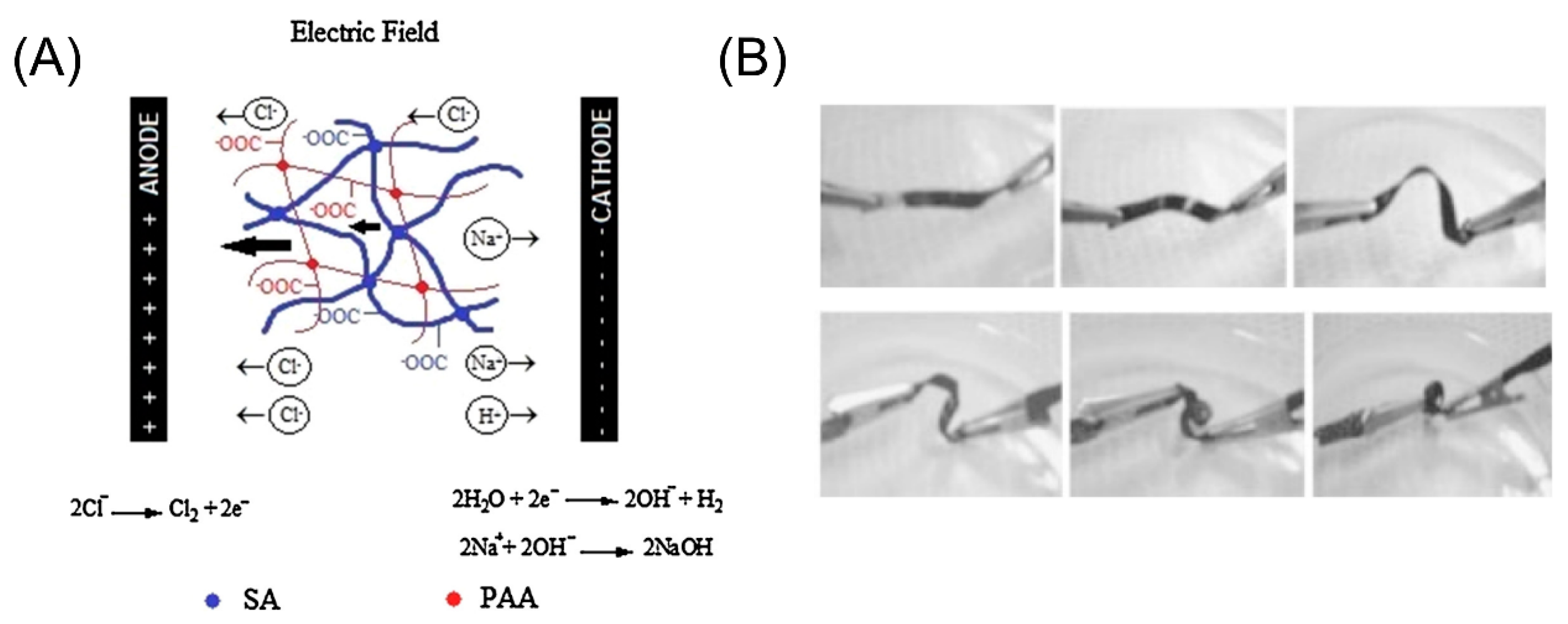Micromachines 11 00796 g009 Micromachines 11 00796 g009