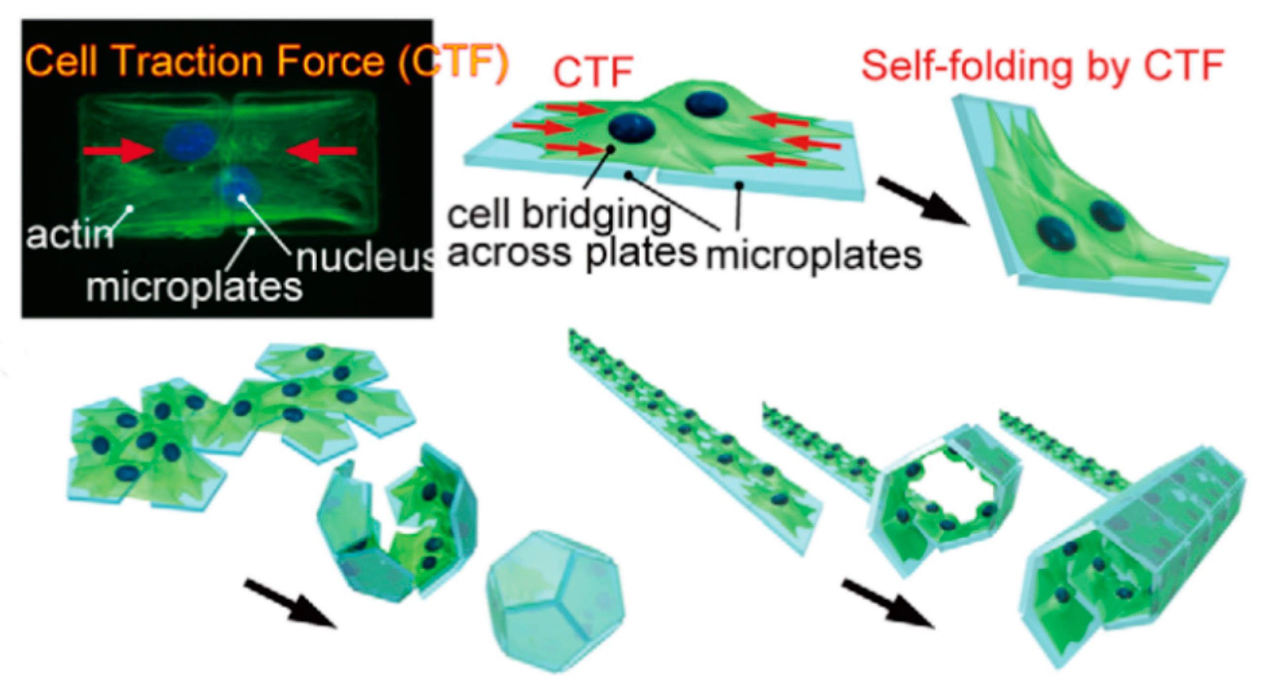 Micromachines 11 00796 g011 Micromachines 11 00796 g011