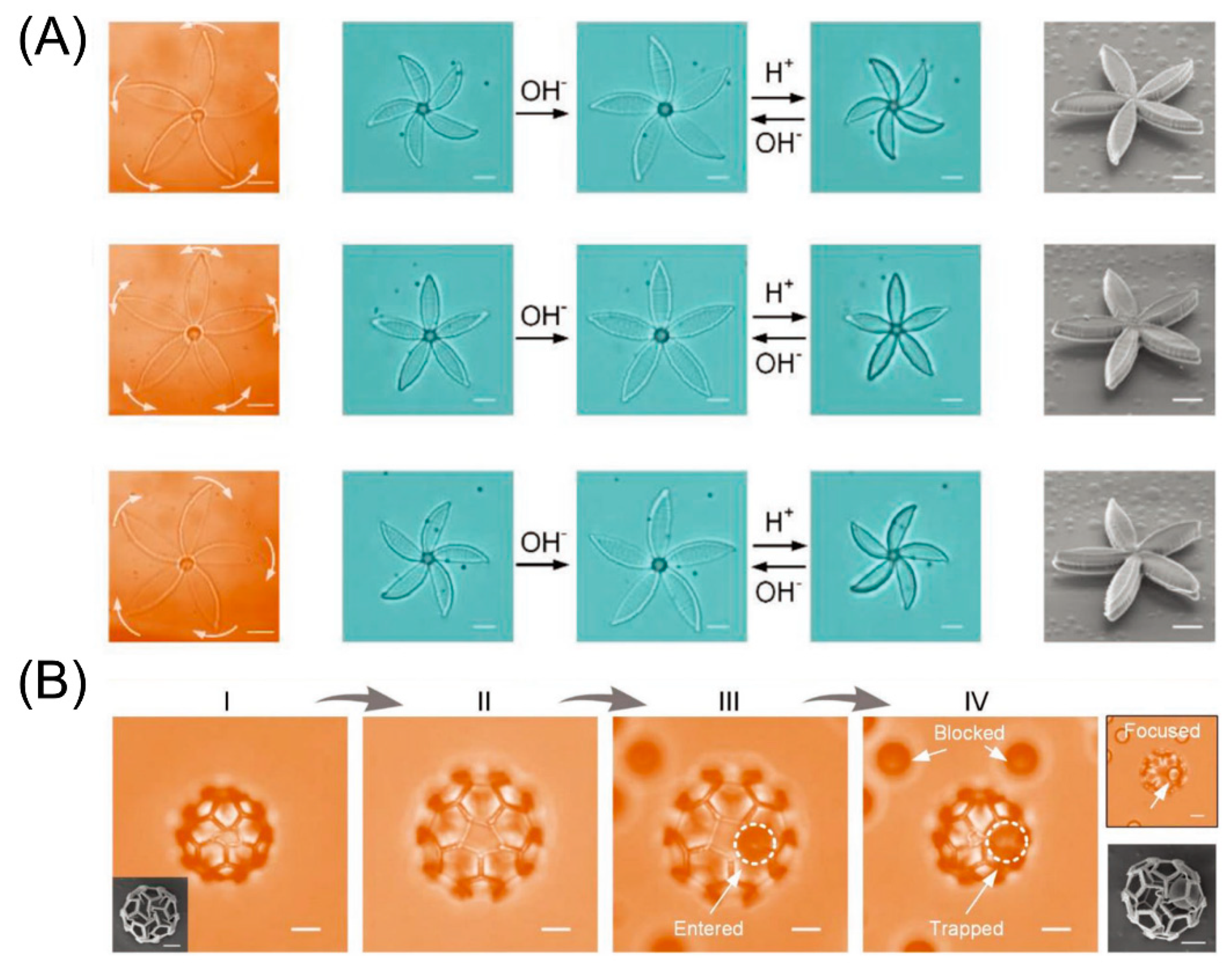 Micromachines 11 00796 g015 Micromachines 11 00796 g015