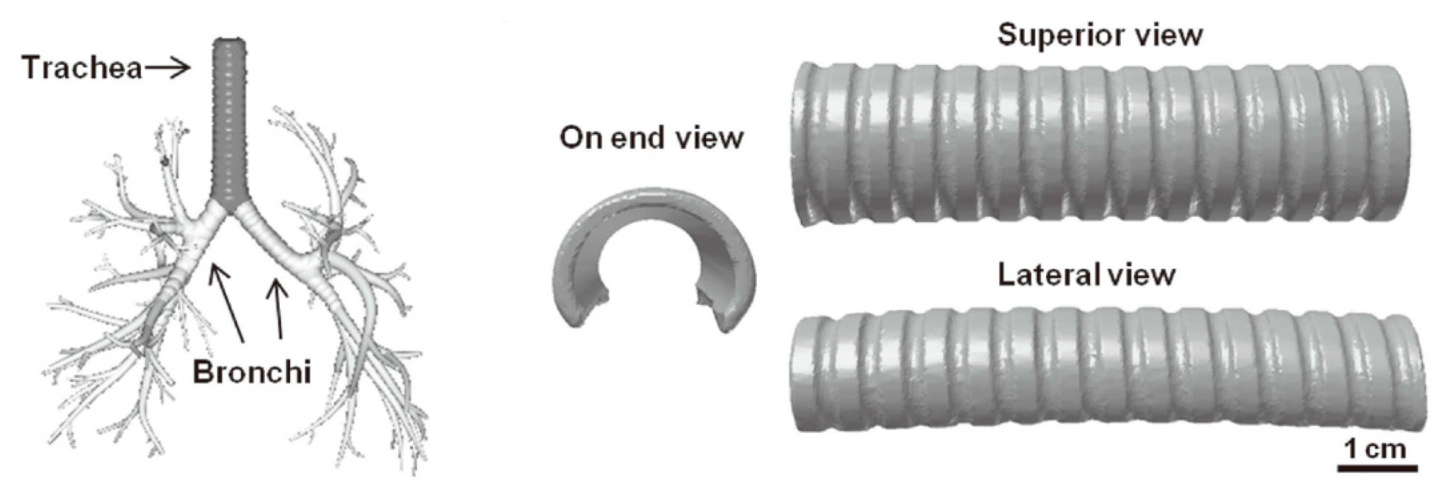 Micromachines 11 00796 g017 Micromachines 11 00796 g017