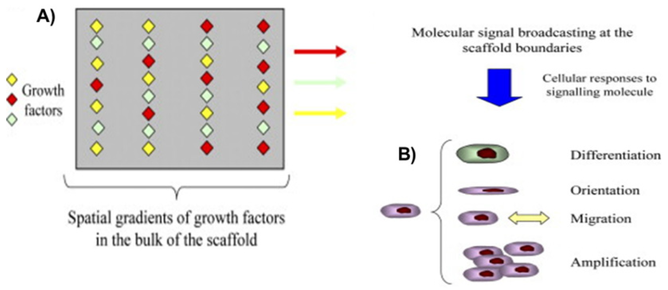 Micromachines 11 00797 g001 Micromachines 11 00797 g001