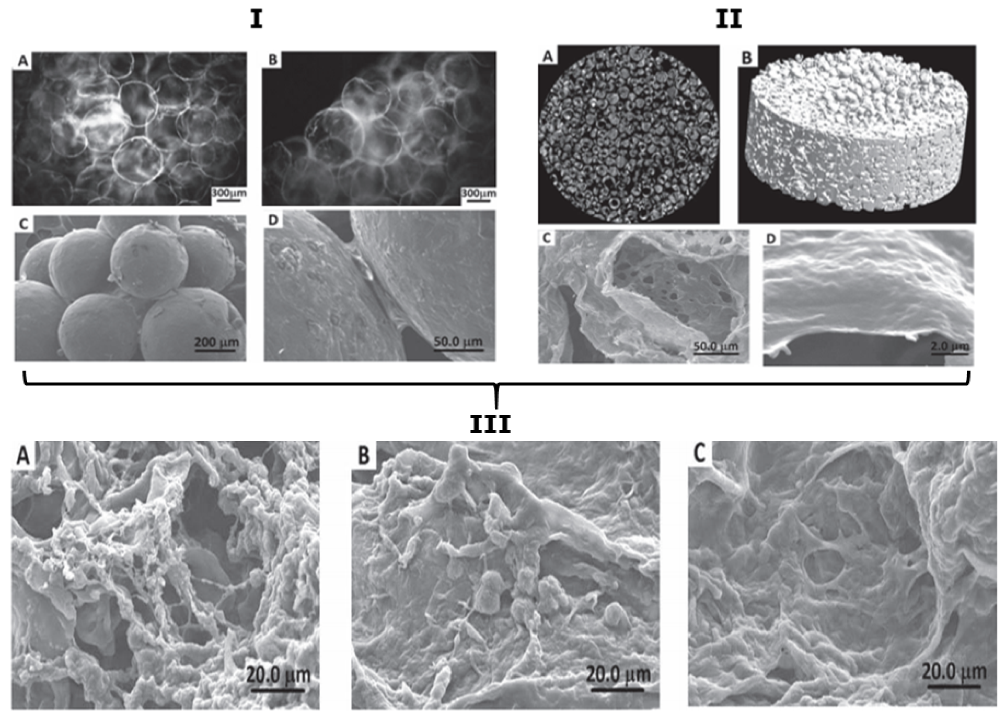 Micromachines 11 00797 g014 Micromachines 11 00797 g014