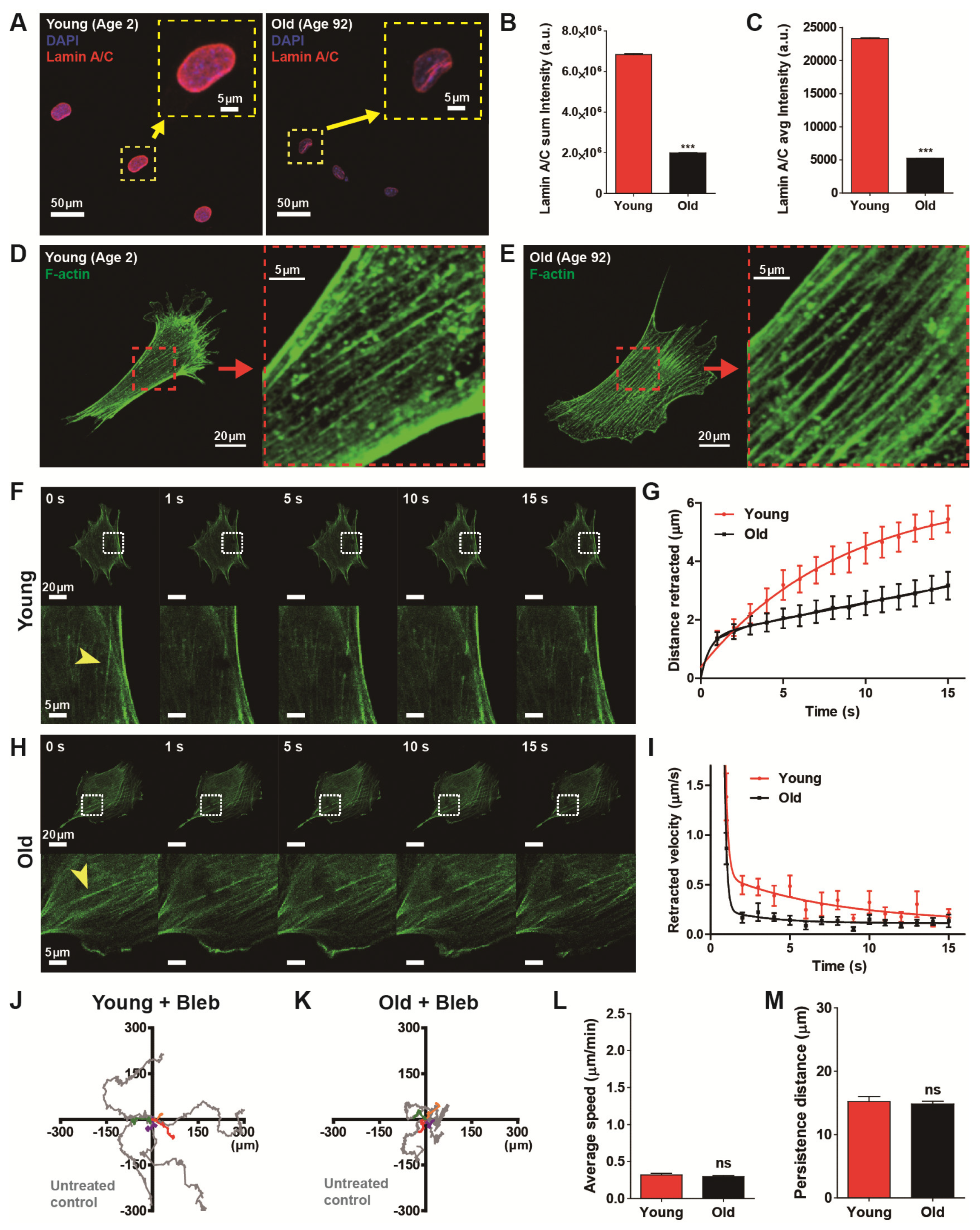 Micromachines 11 00801 g004