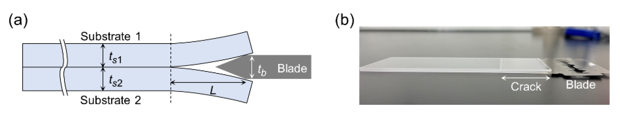 Micromachines 11 00804 g002 Micromachines 11 00804 g002
