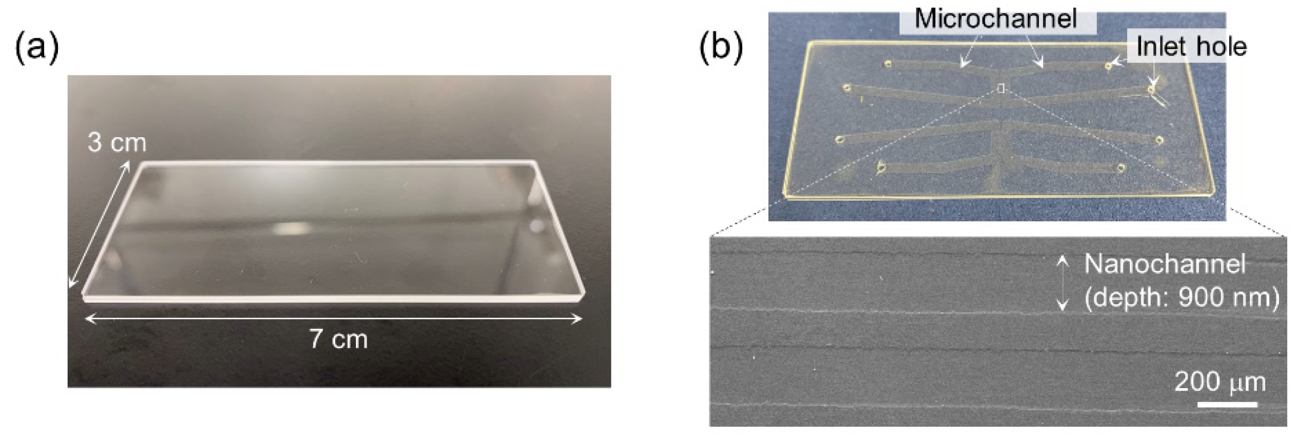Micromachines 11 00804 g003 Micromachines 11 00804 g003