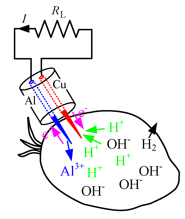 Micromachines 11 00806 g002